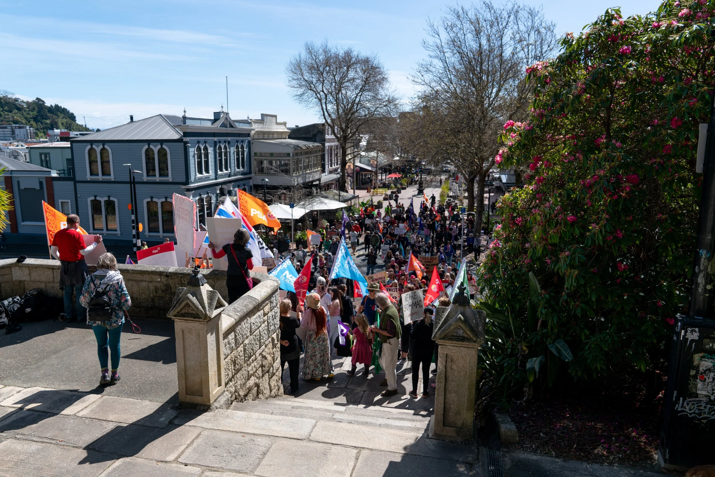 A large crowd of people gathered at a protest on a street, holding various colorful flags, signs, and banners, with buildings and trees in the background on a sunny day.