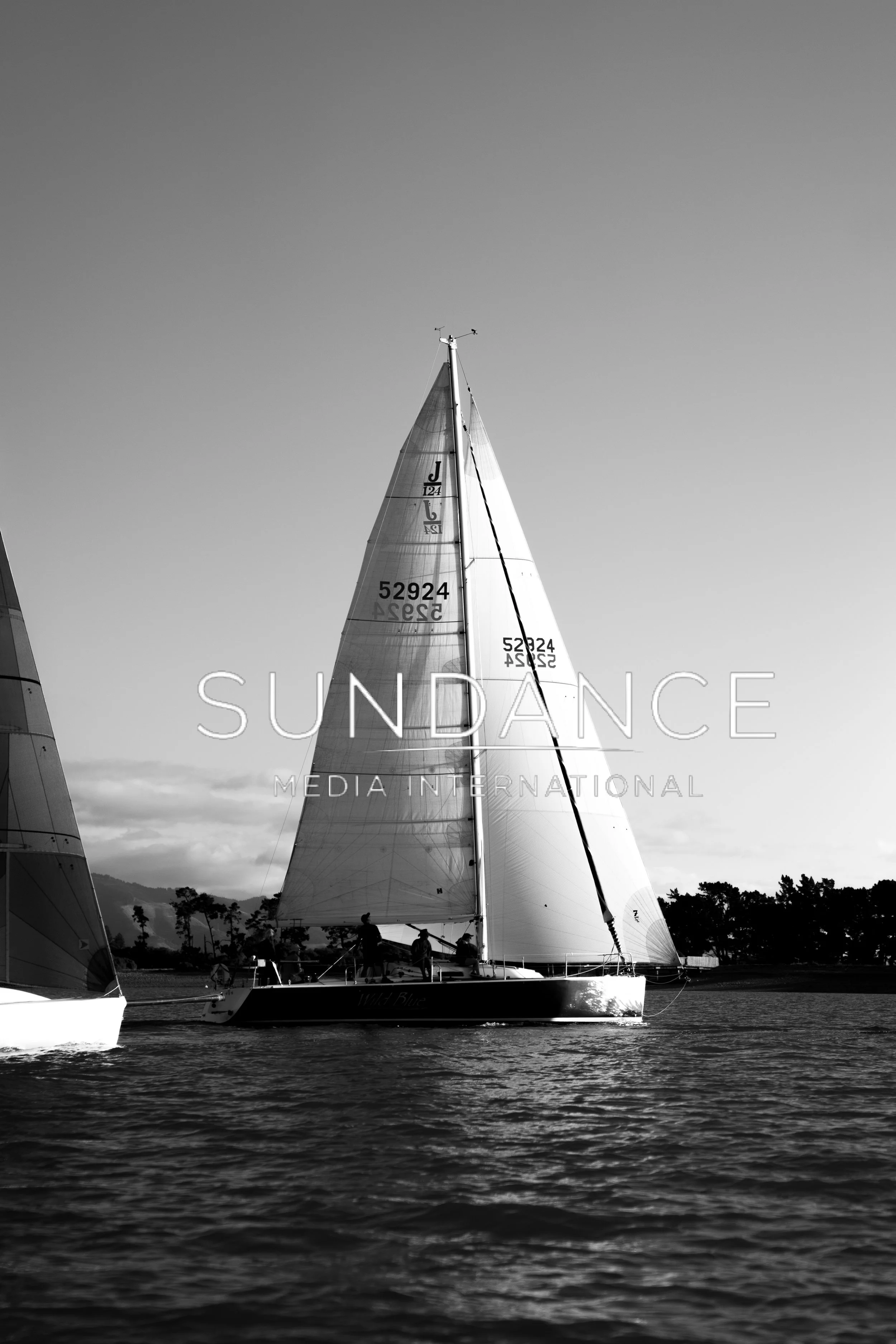 Wild Blue - Starboard B/W