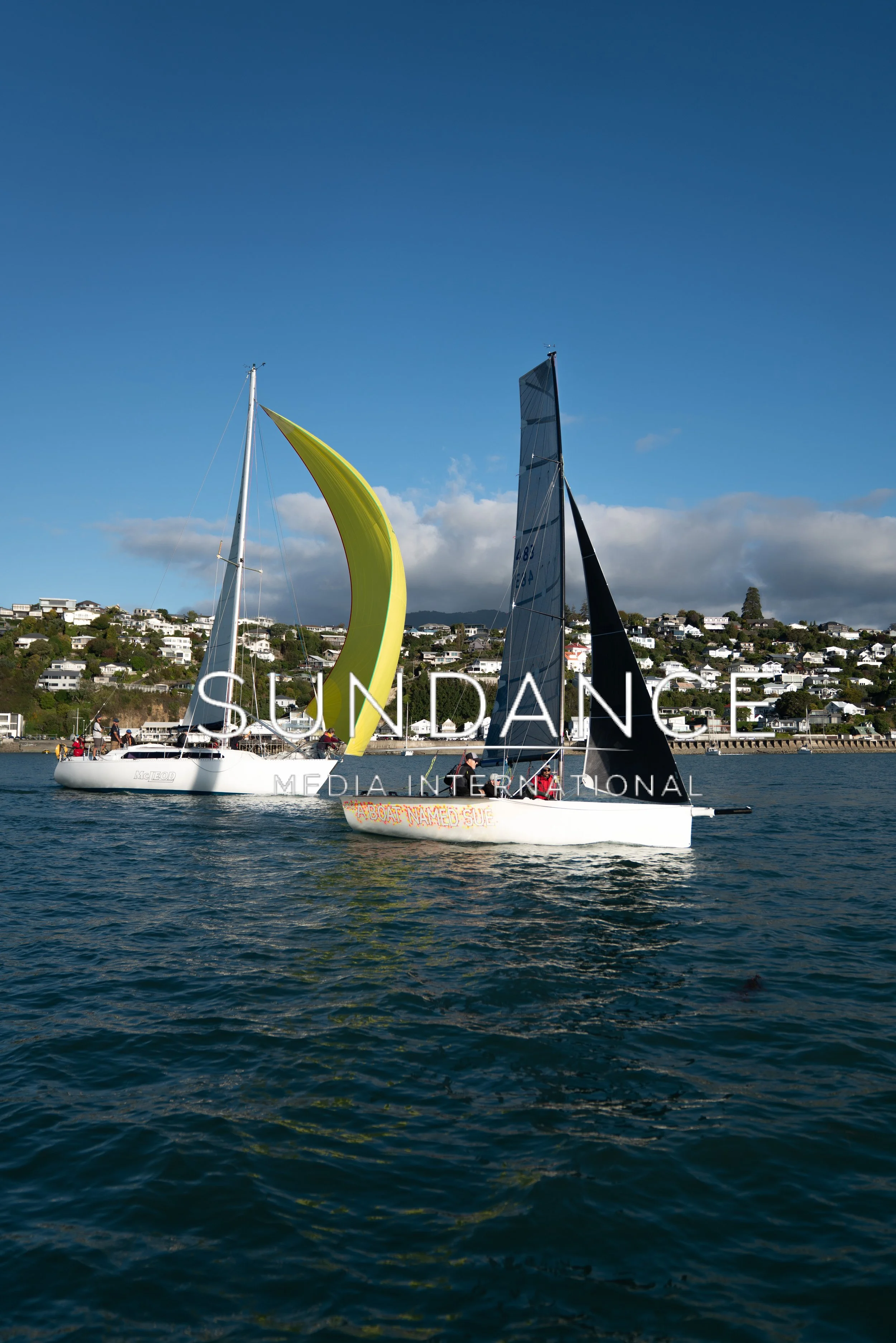 A Boat Named Sue & Mcleod