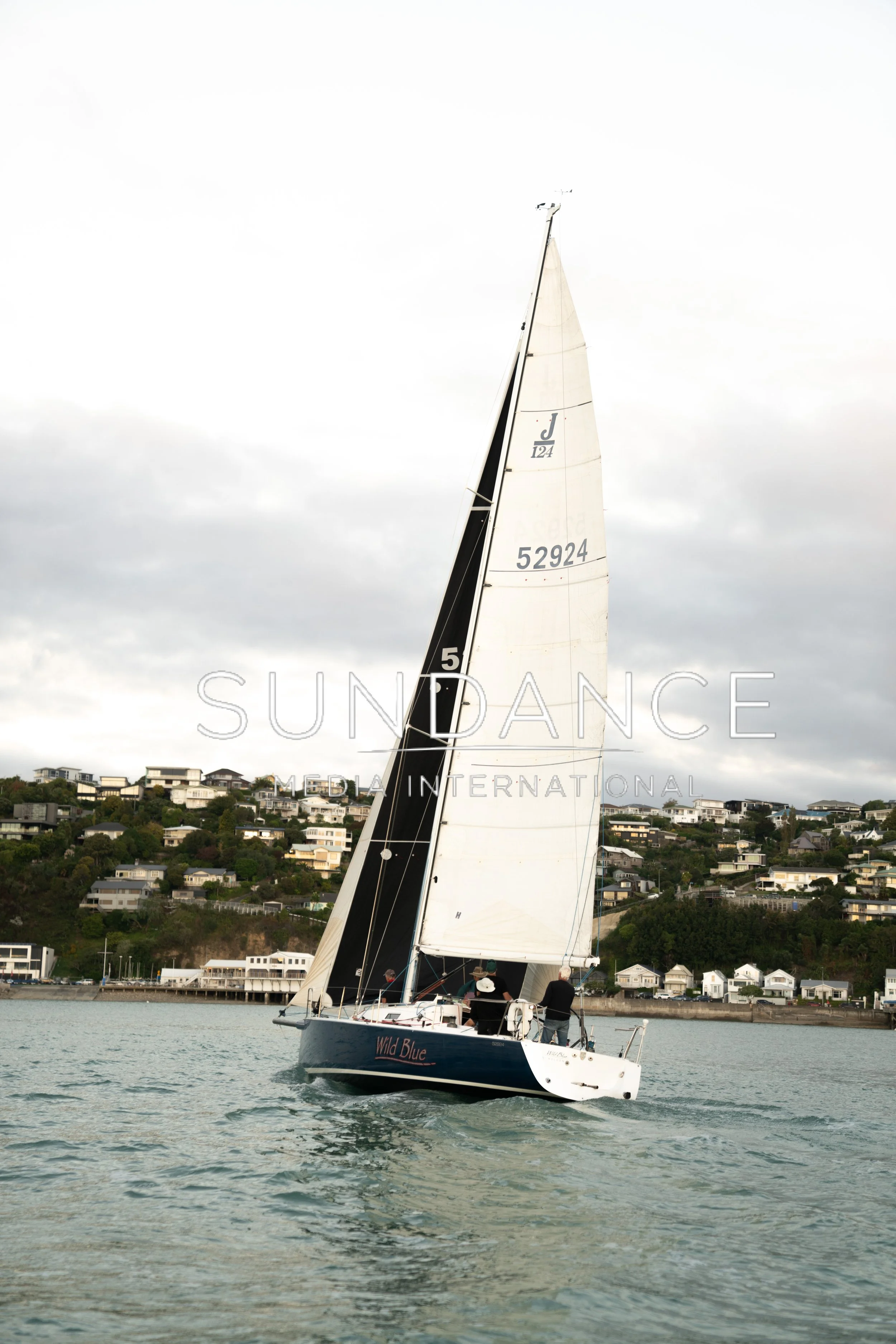 Wild Blue - Coming Into Cut