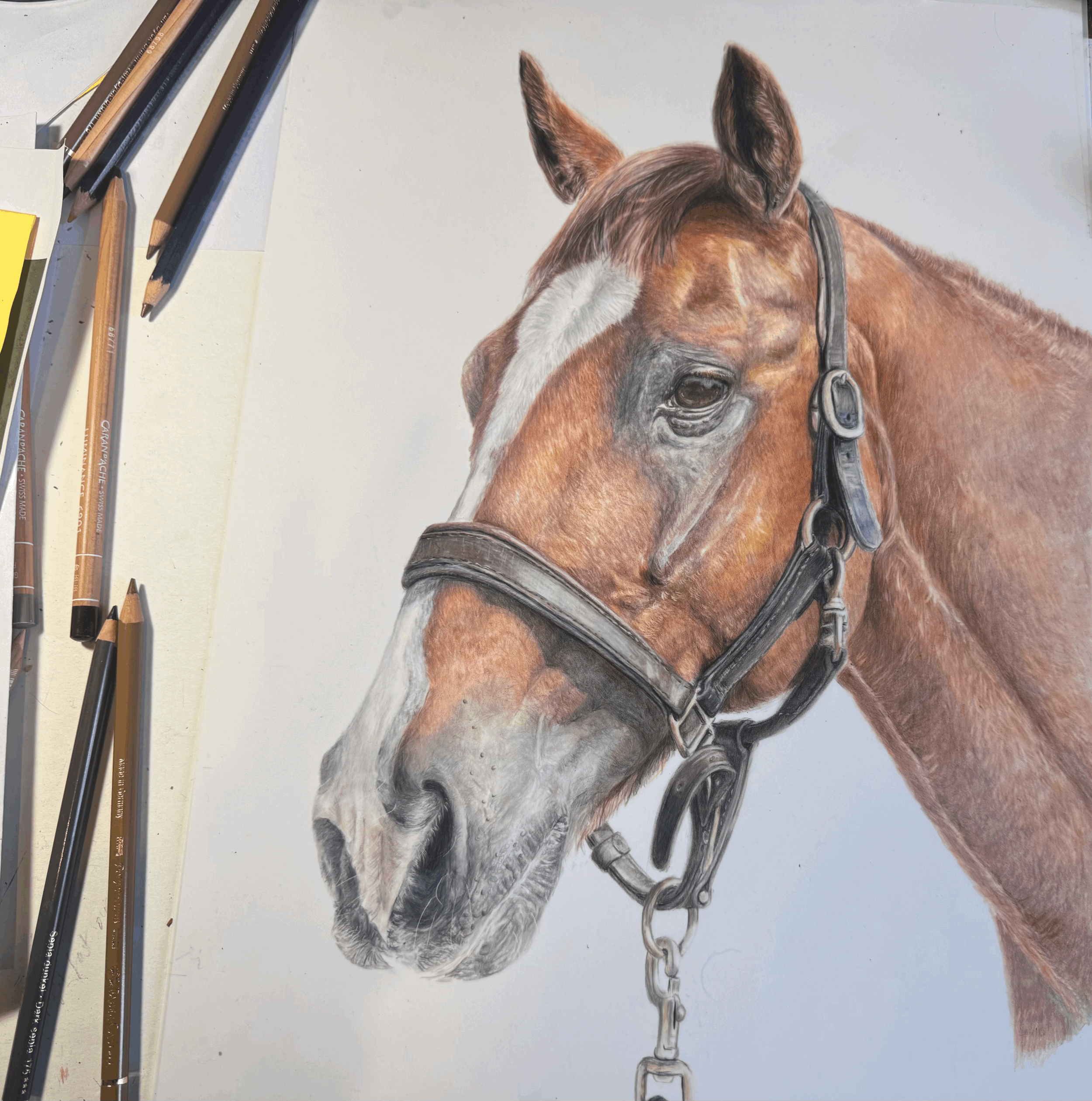 6. Limited Editions &amp; Collecting with Meaning