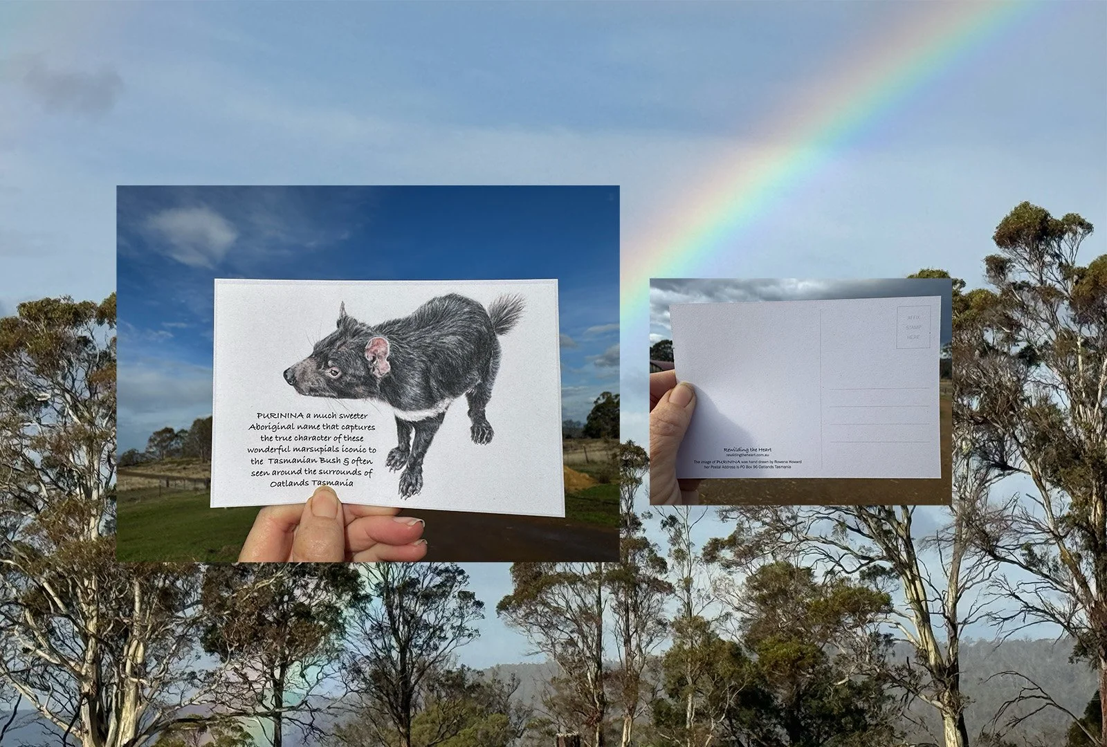 Post Cards from Tasmania