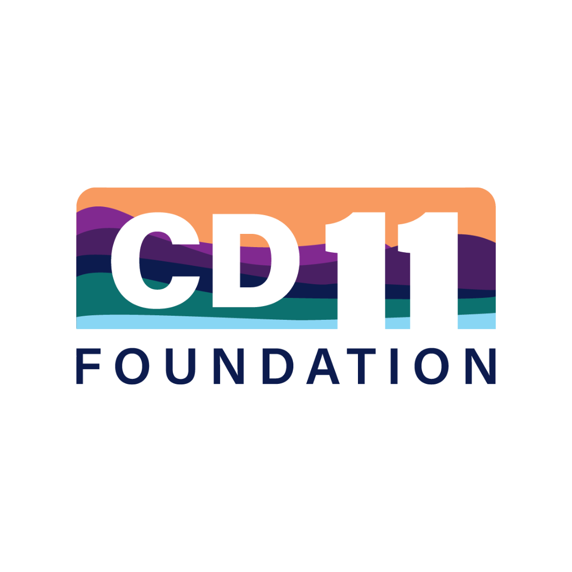 CD 11 Foundation