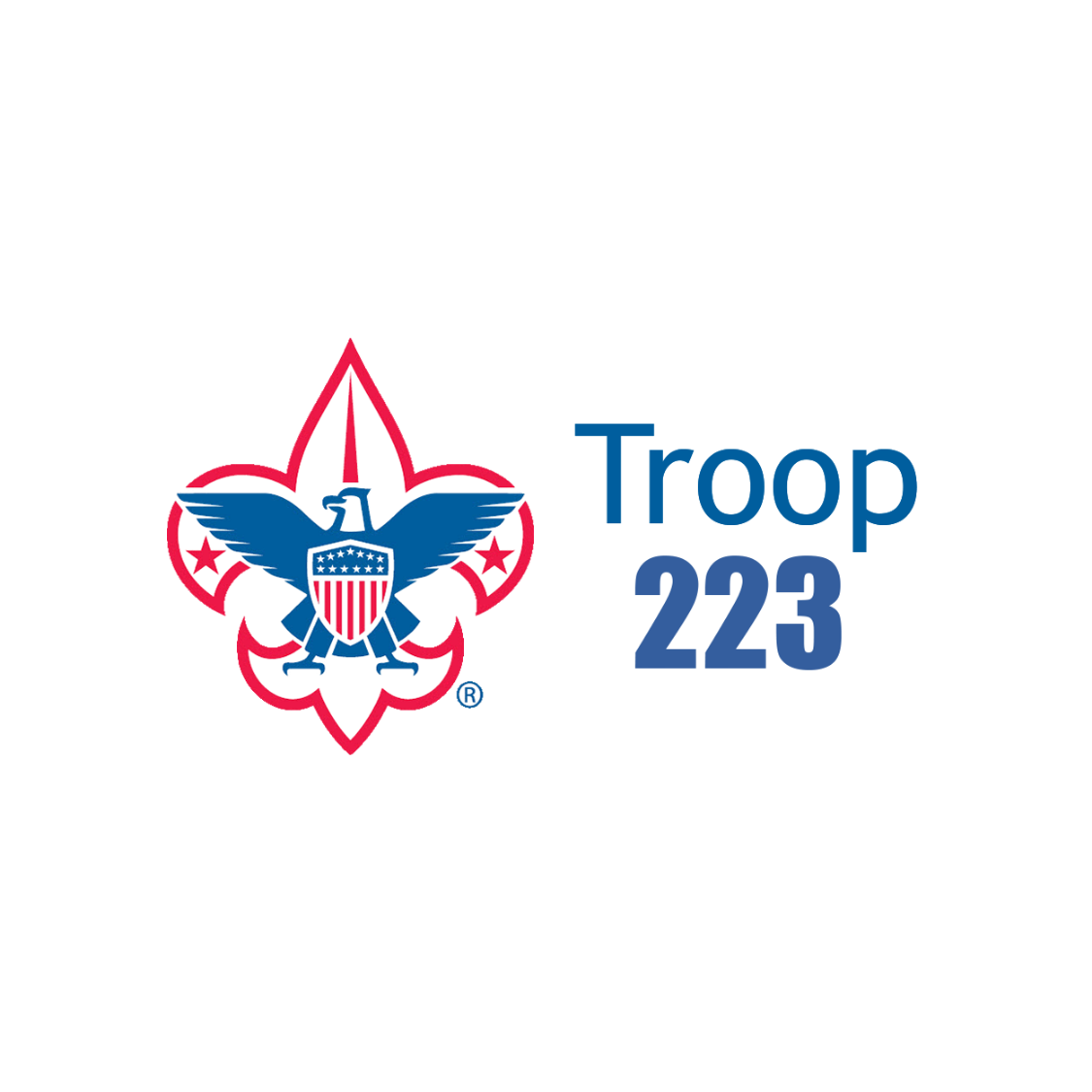 Troop 223