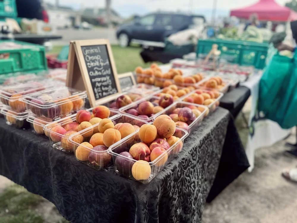 Waimate community market