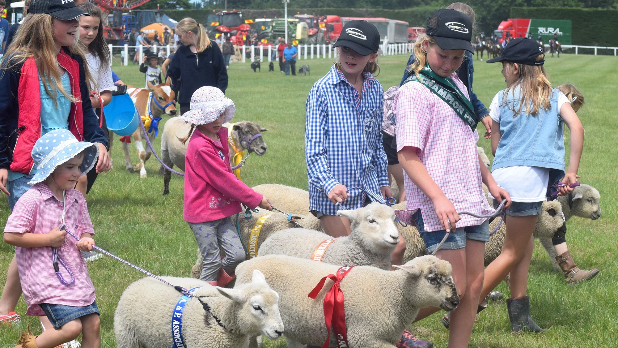 Southern Canterbury A&P Show