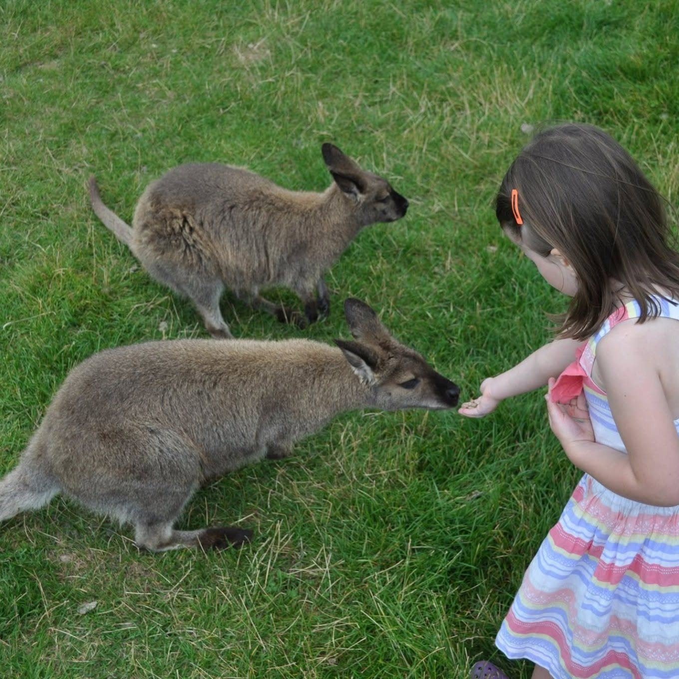 TEN REASONS TO VISIT WAIMATE

As seen in Our New Zealand magazine...

📍 Almost halfway between Christchurch and Dunedin, and just down the road from the spectacular Mackenzie region, the small South Island town of Waimate has been generating a bit o