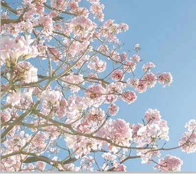 Spring Holiday Programme 