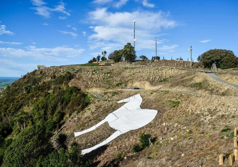 The White Horse