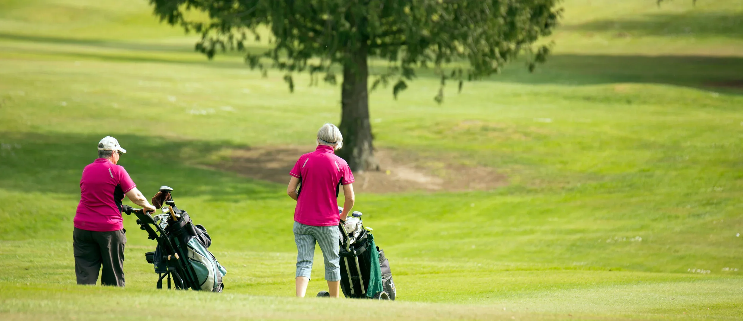 Golf courses