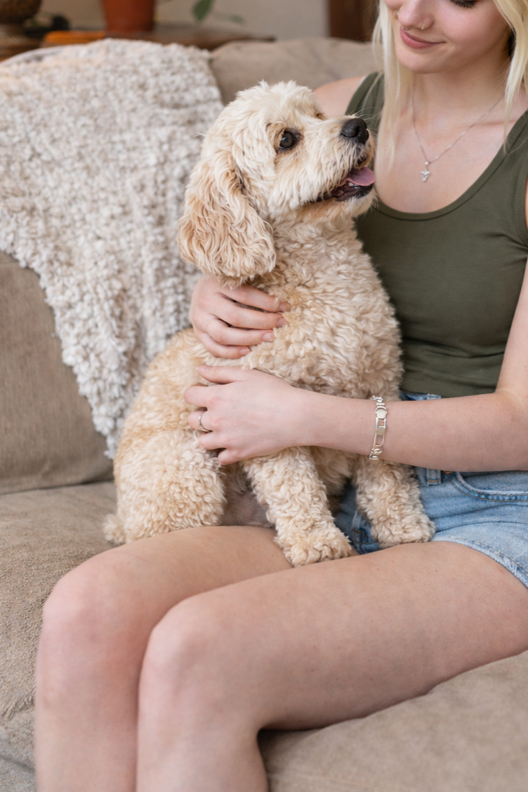 Woman+and+Cockapoo+on+cozy+couch.png
