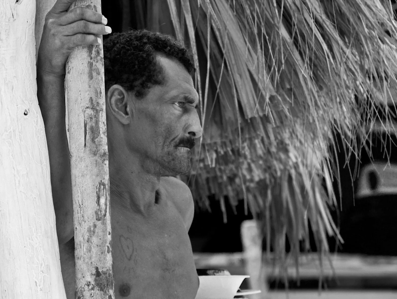 Lifestyle & Documentary