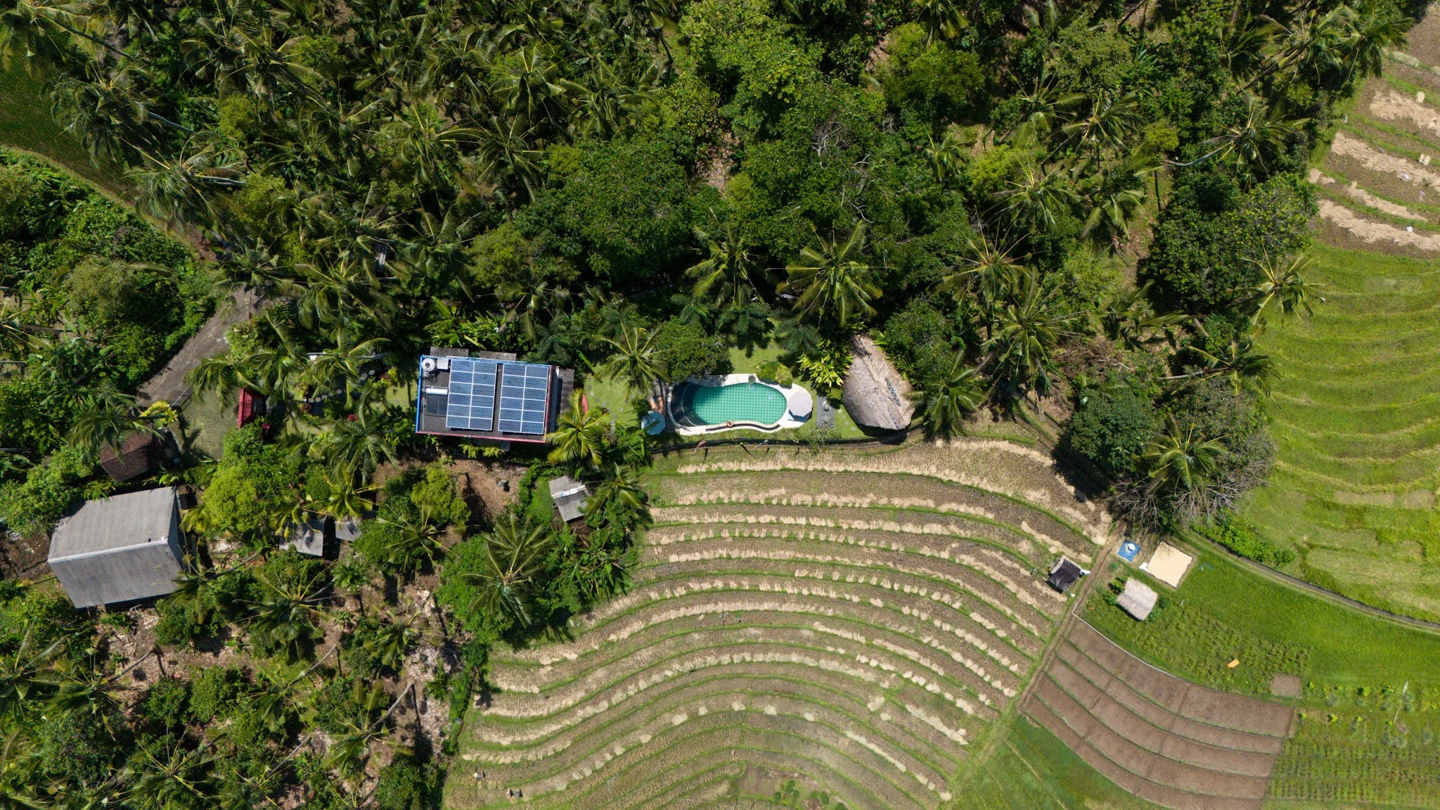 Projekt Dharma Oasis Villa