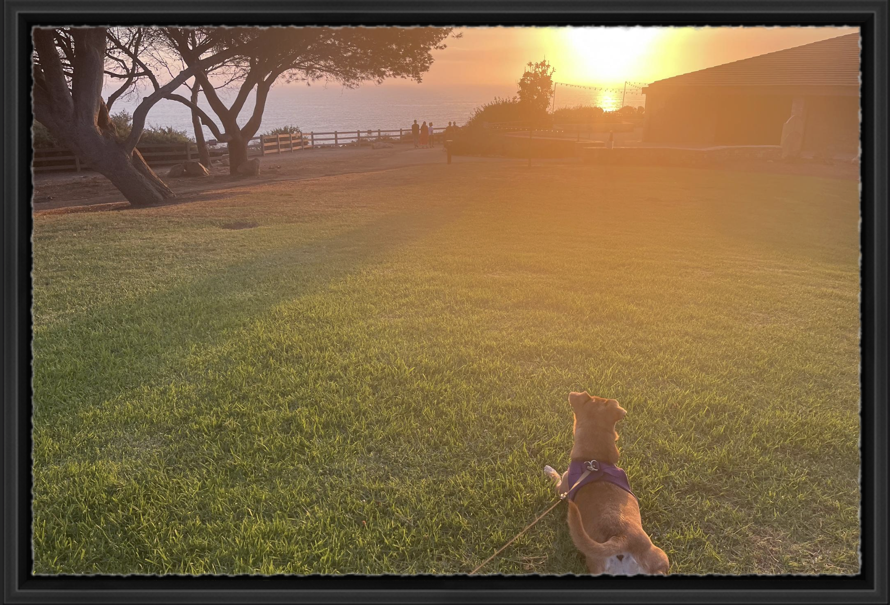 Evening Stillness - Modern Black Float Frame.png