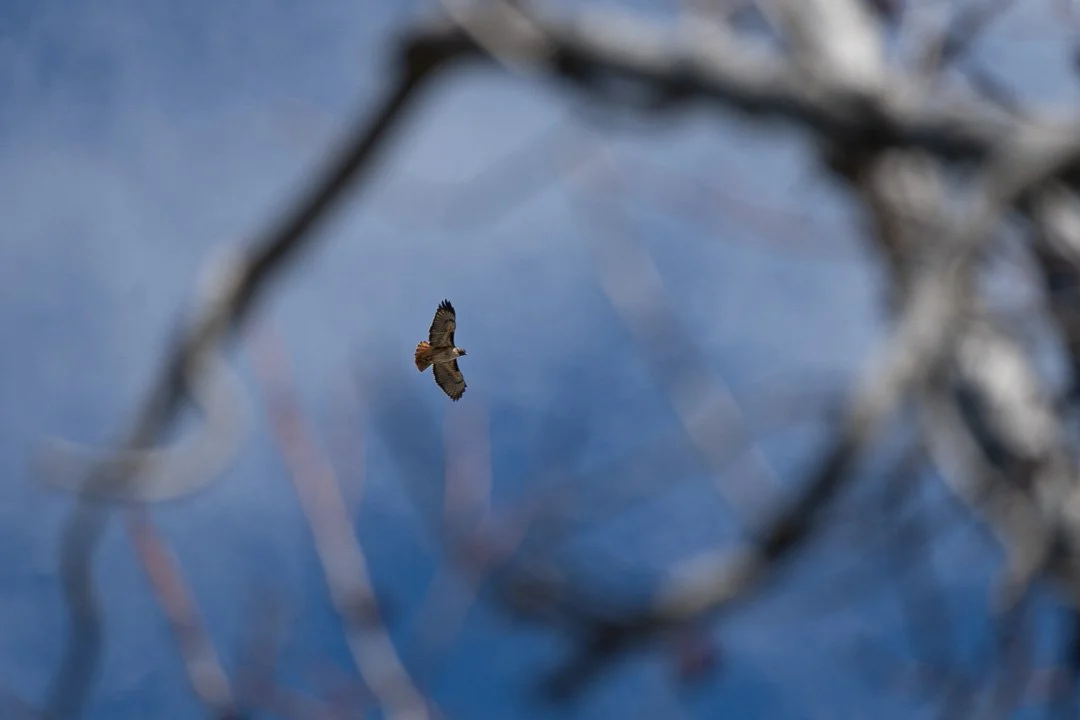 In Unscripted Alignment