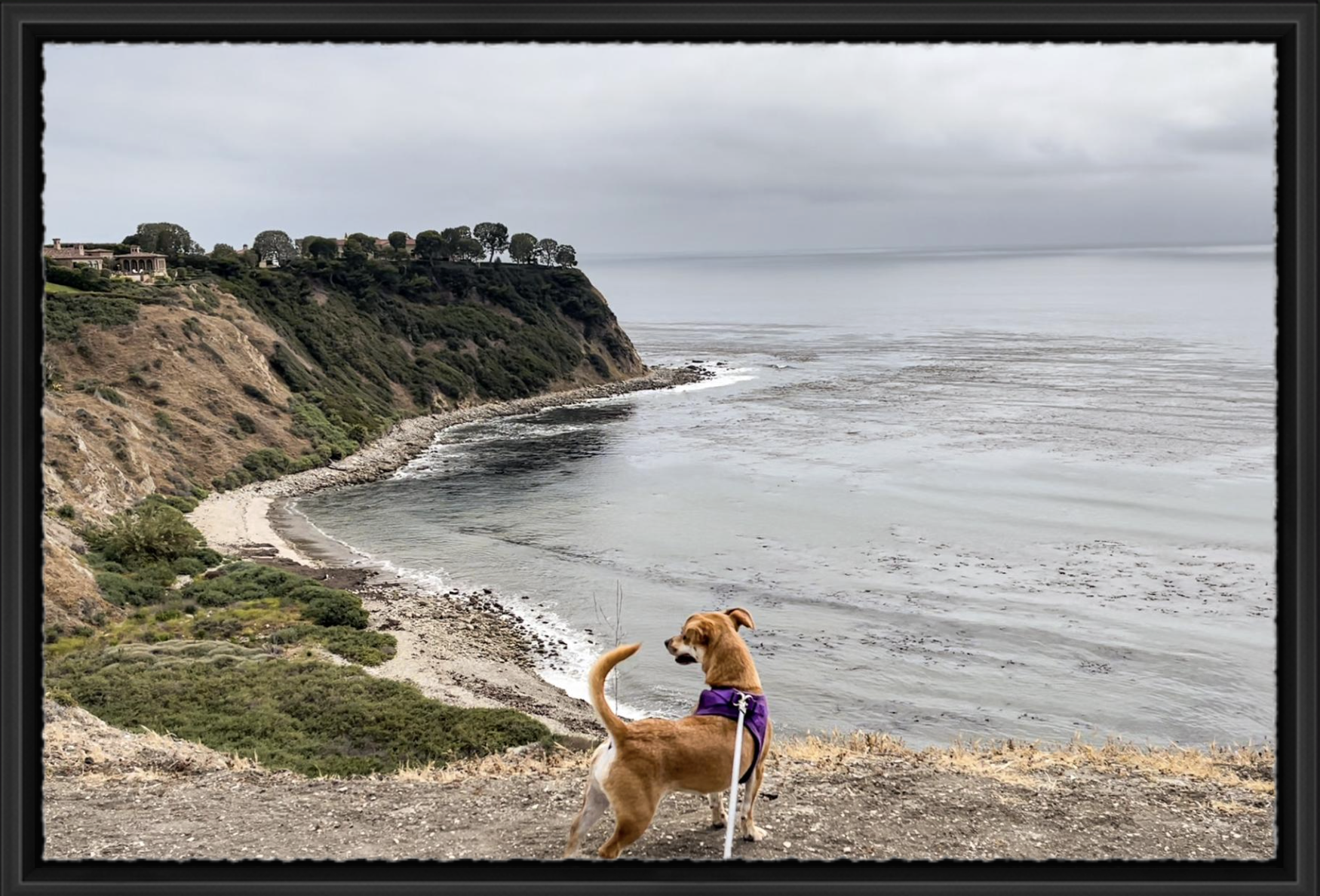 Cliffside Companion - Modern Black Float Frame.png