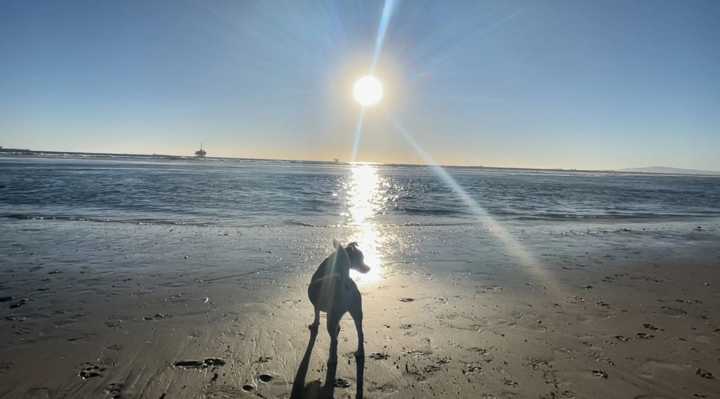 Watching the Horizon