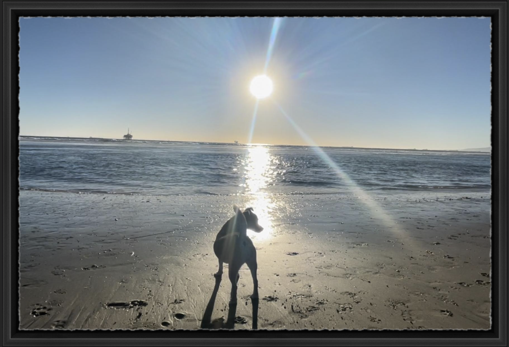 Watching the Horizon Framed Example Black Metal Modern Float Frame