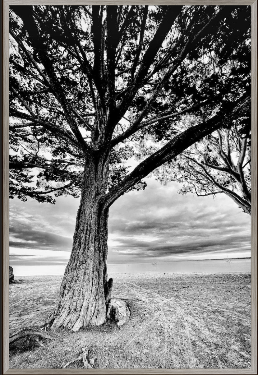 Quiet Horizon with Metal and Oak MidCentury Frame