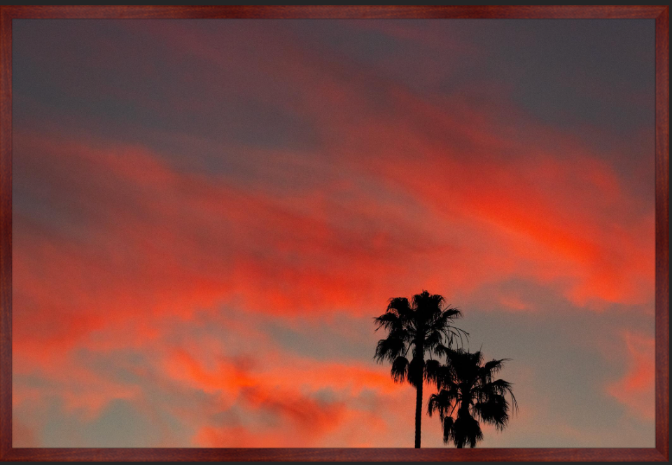 Ember Palms Walnut Box Frame mockup