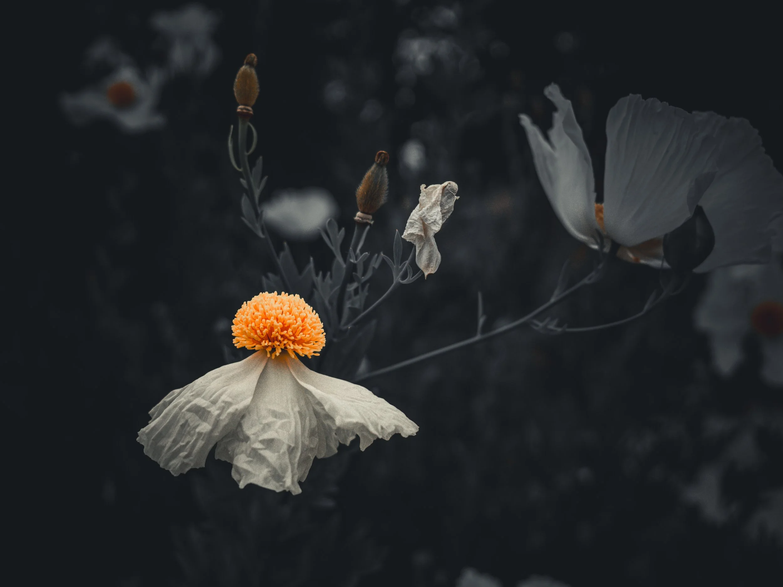 Soft Persistence