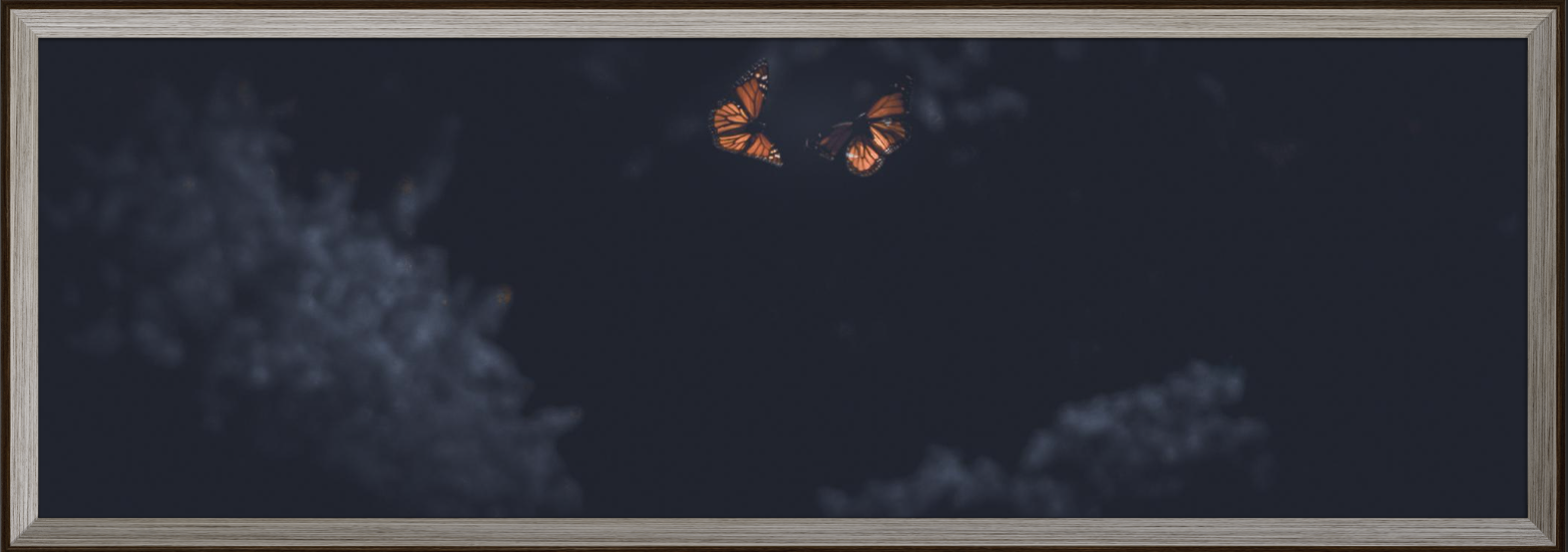 hush in MidCentury Oak Frame