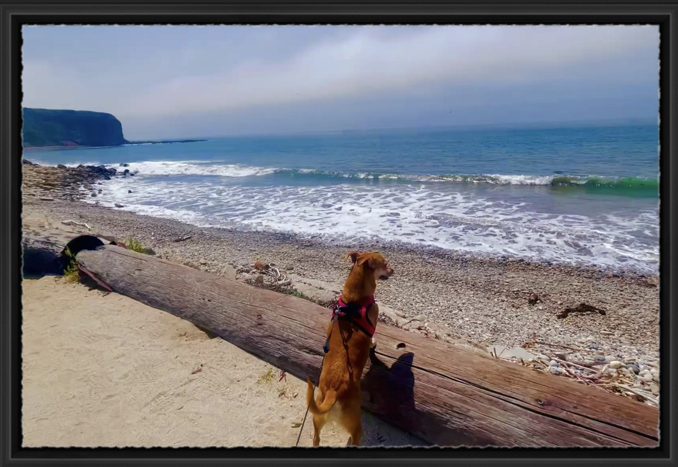 On Watch - Modern Black Float Frame