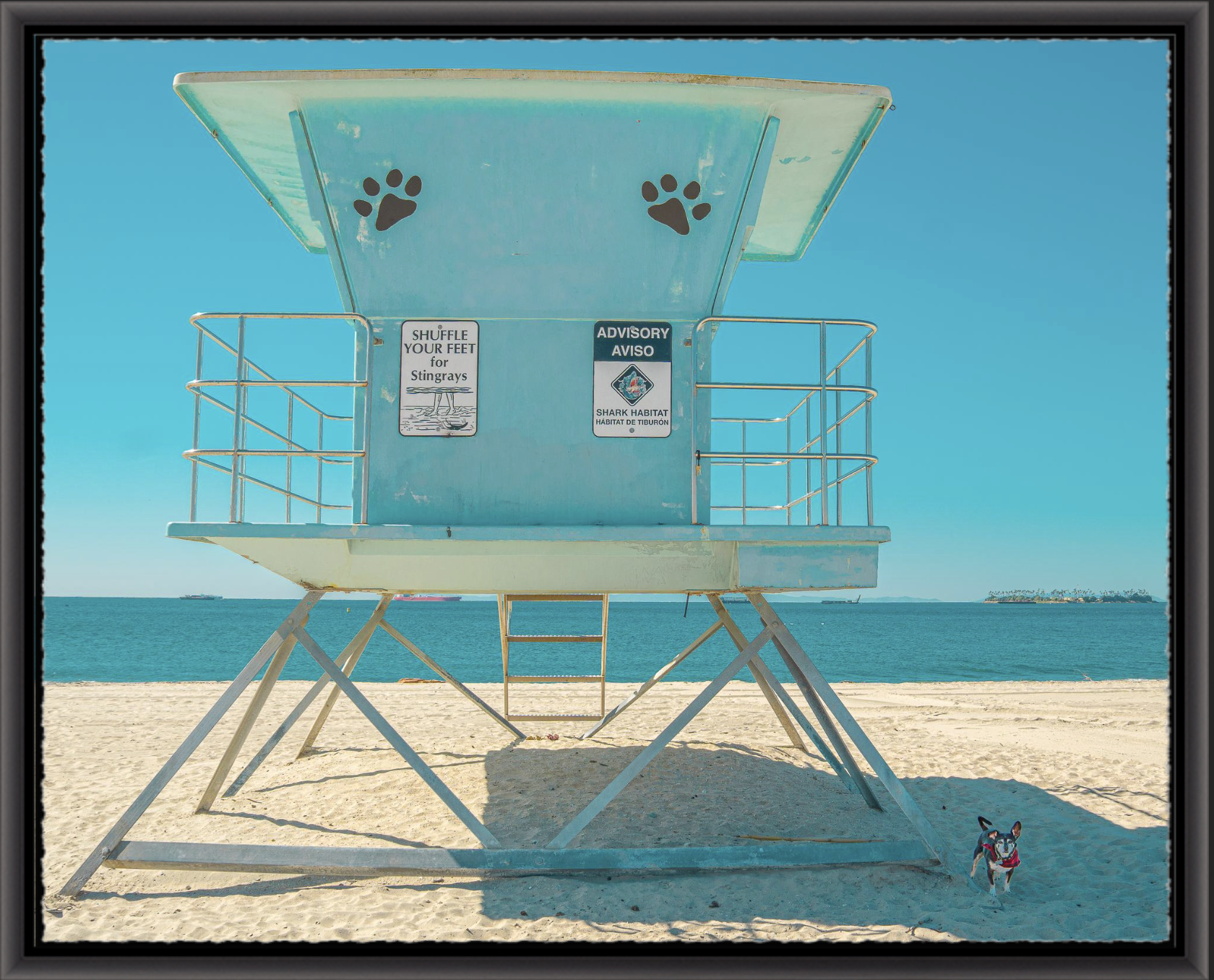 Small Sentinel - Modern Black Float Frame