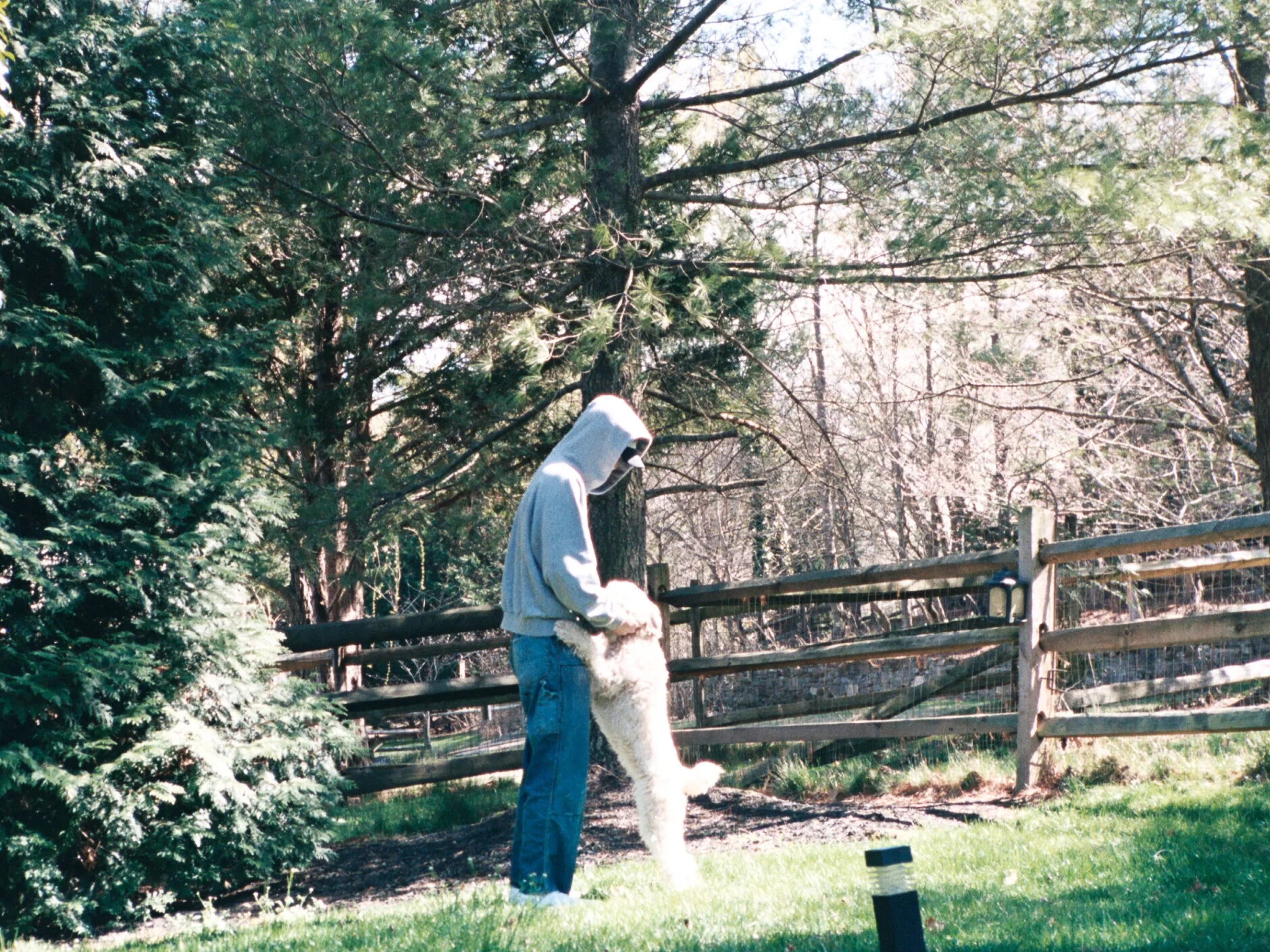 Jin 78491 AA005.jpg