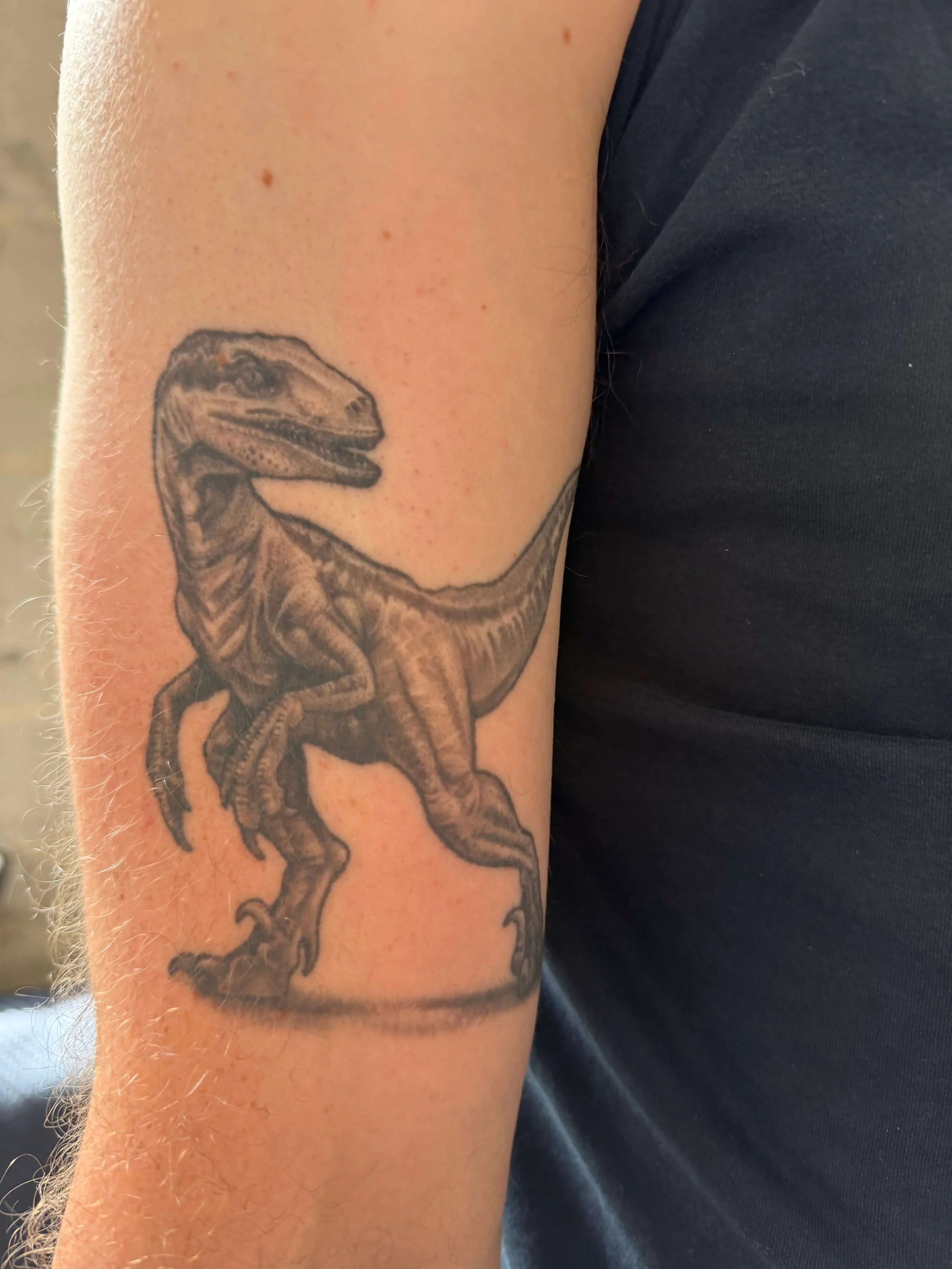 Black and grey tattoo of a dinosaur, specifically a T-Rex, on a person's upper arm.