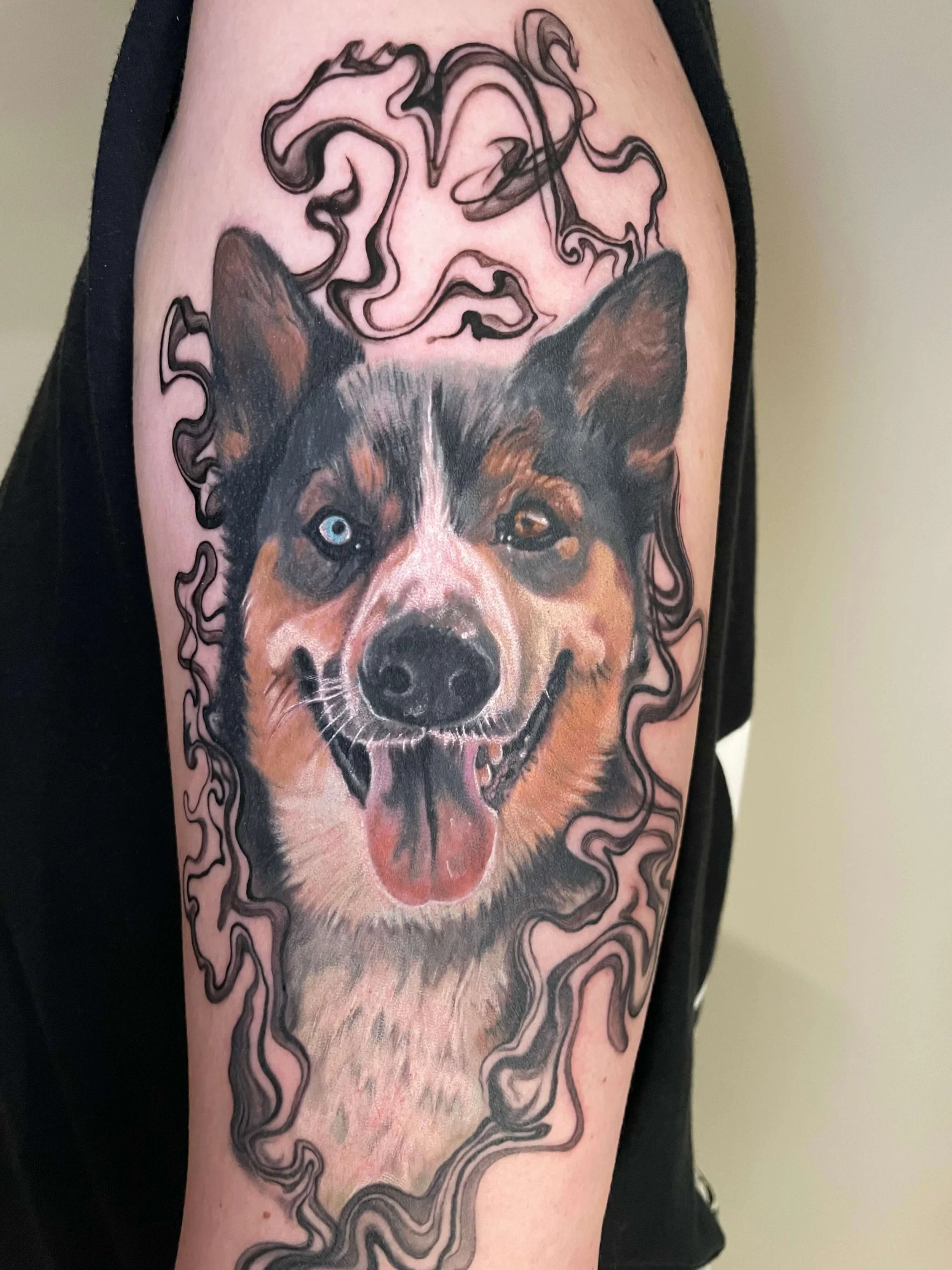 Tattoo of a smiling Siberian Husky with blue and brown eyes, surrounded by a swirling black outline.