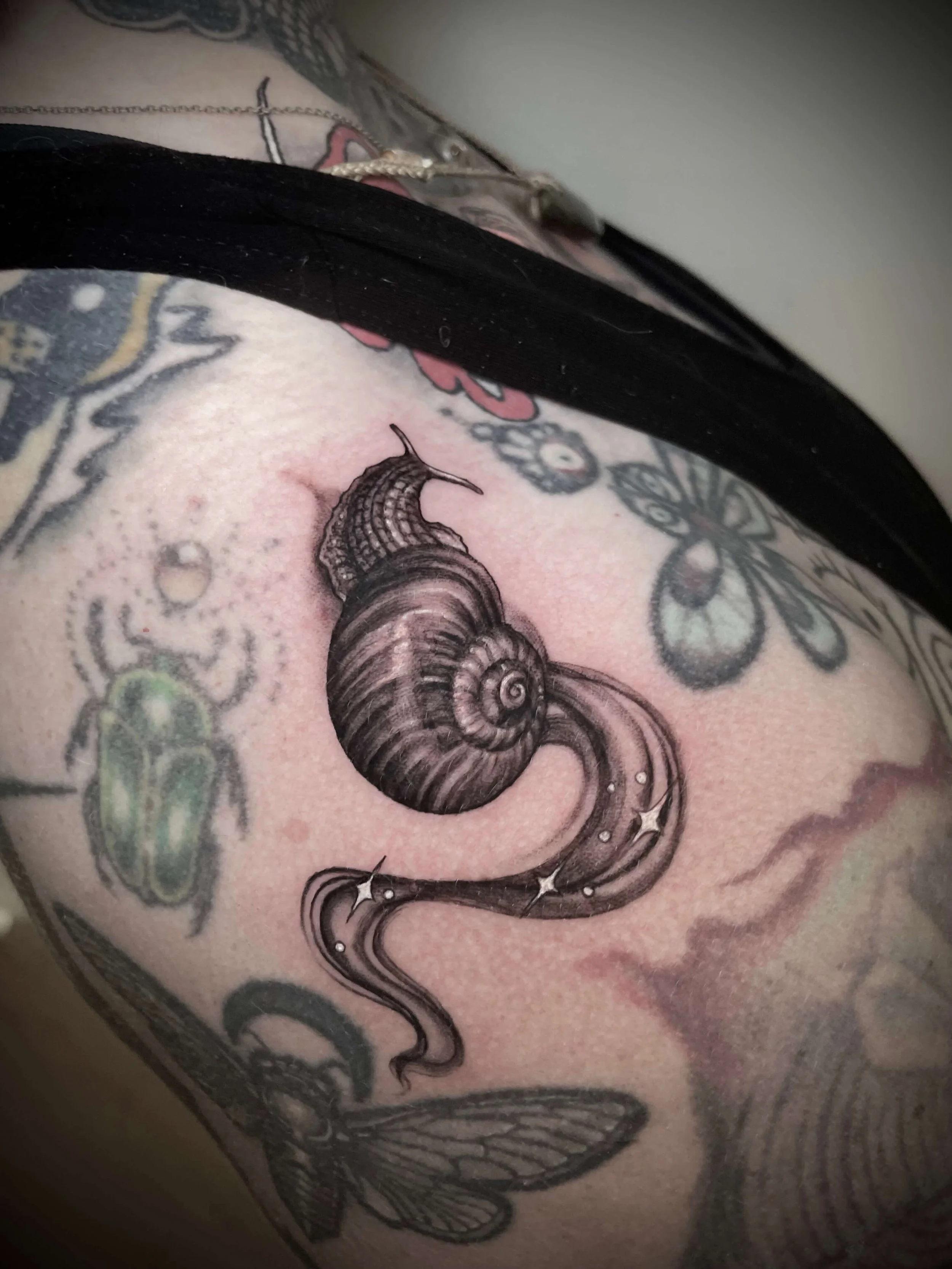 A close-up tattoo of a curled snail shell with detailed lines and shading on a person's arm, surrounded by other tattoos including a butterfly and a beetle.