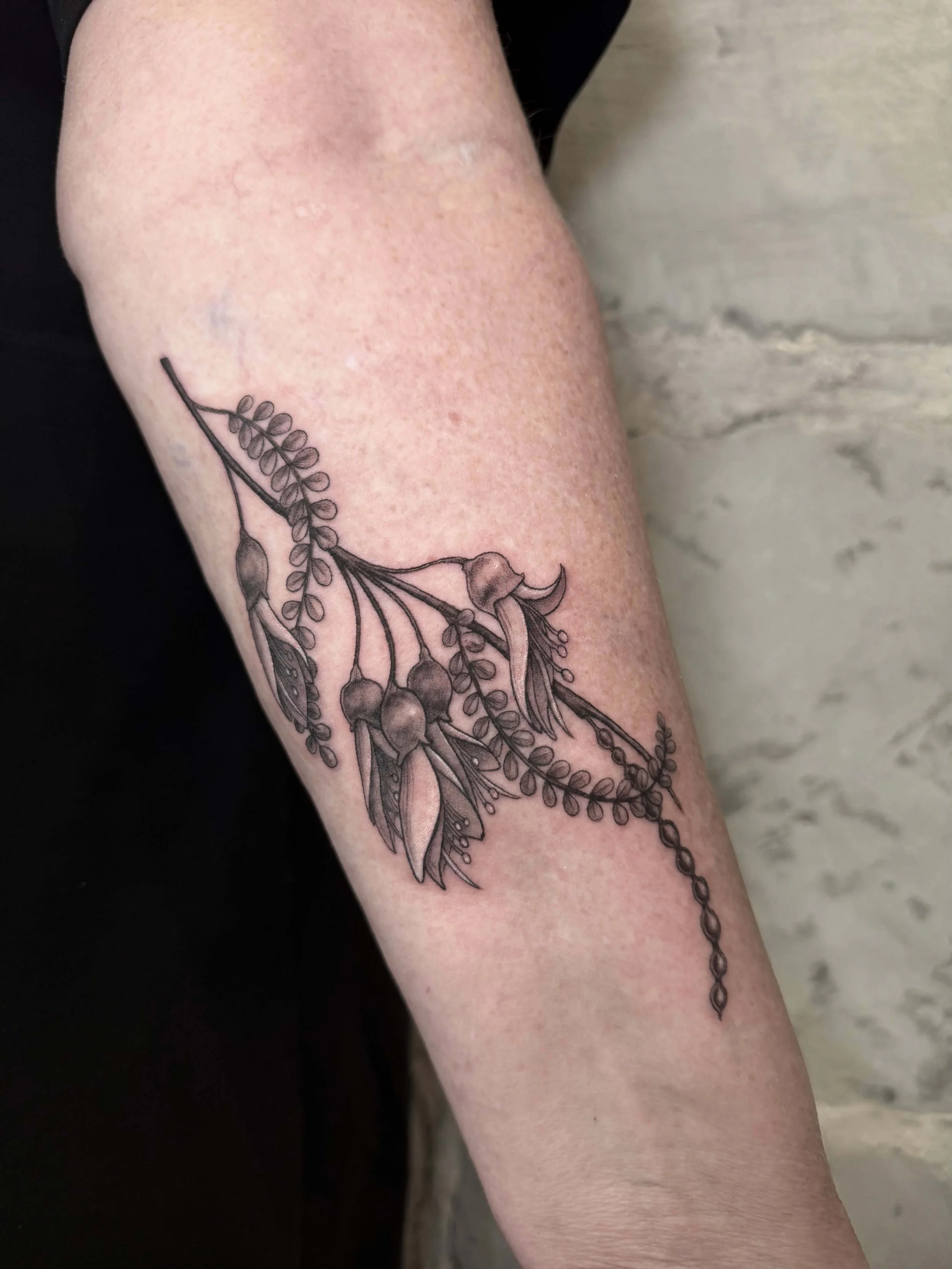 Black and gray tattoo of a botanical branch with leaves and berries on a person's arm.