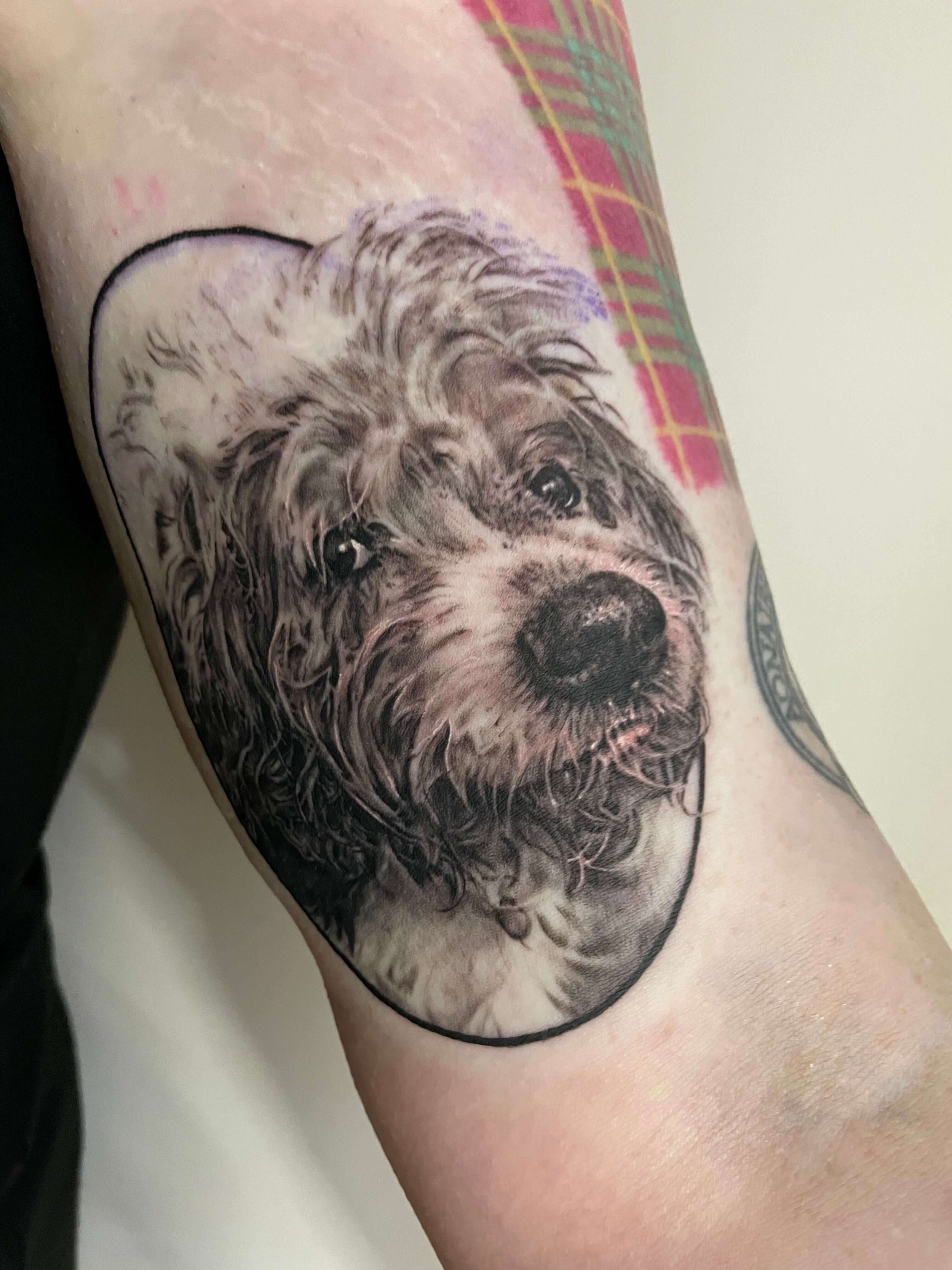 Black and gray tattoo of a dog's face with curly fur on a person's arm.