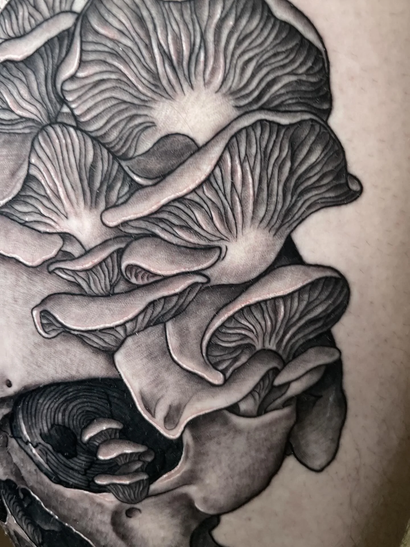 Black and gray tattoo of mushrooms growing in a cluster on skin.