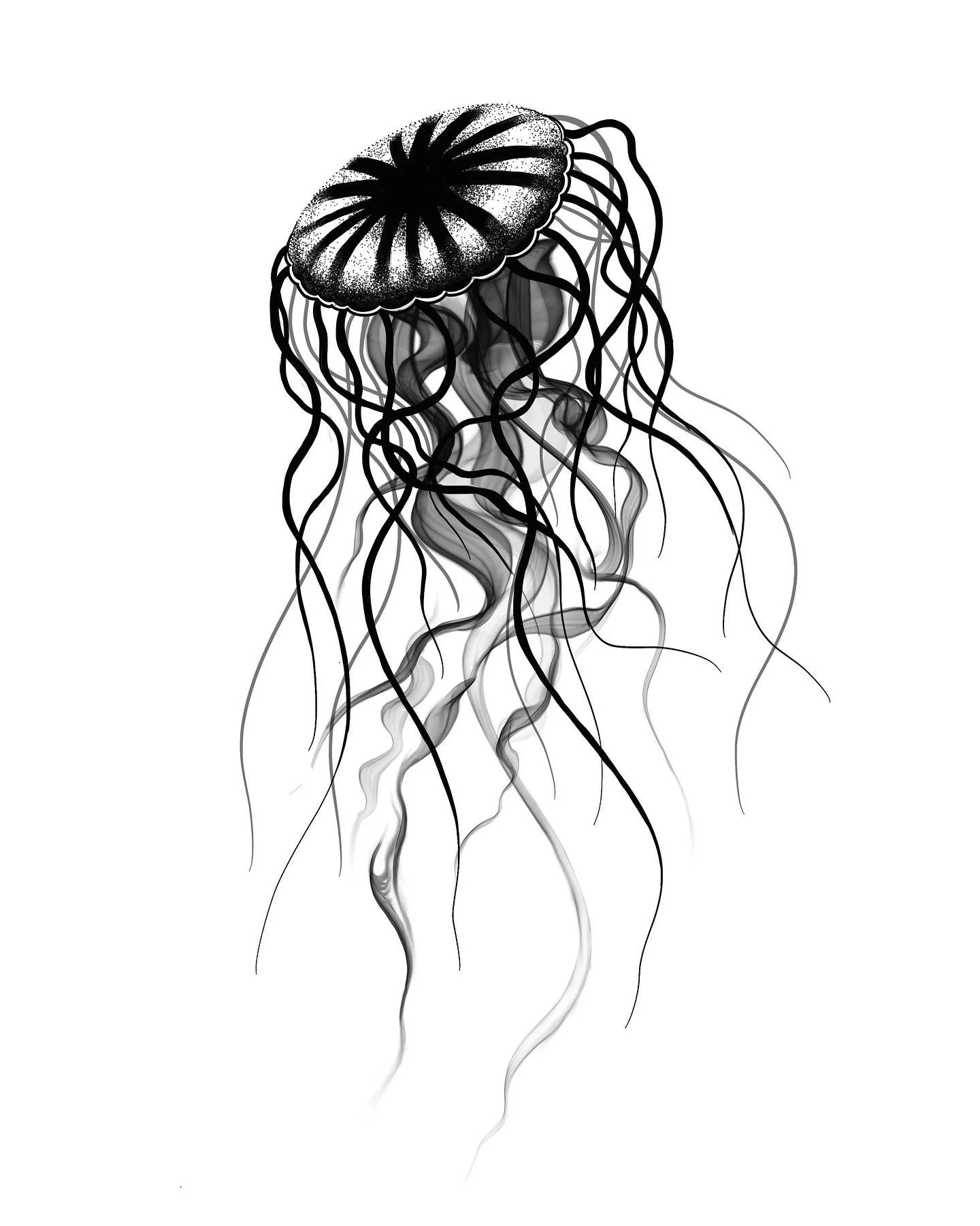 Smoky Jellyfish