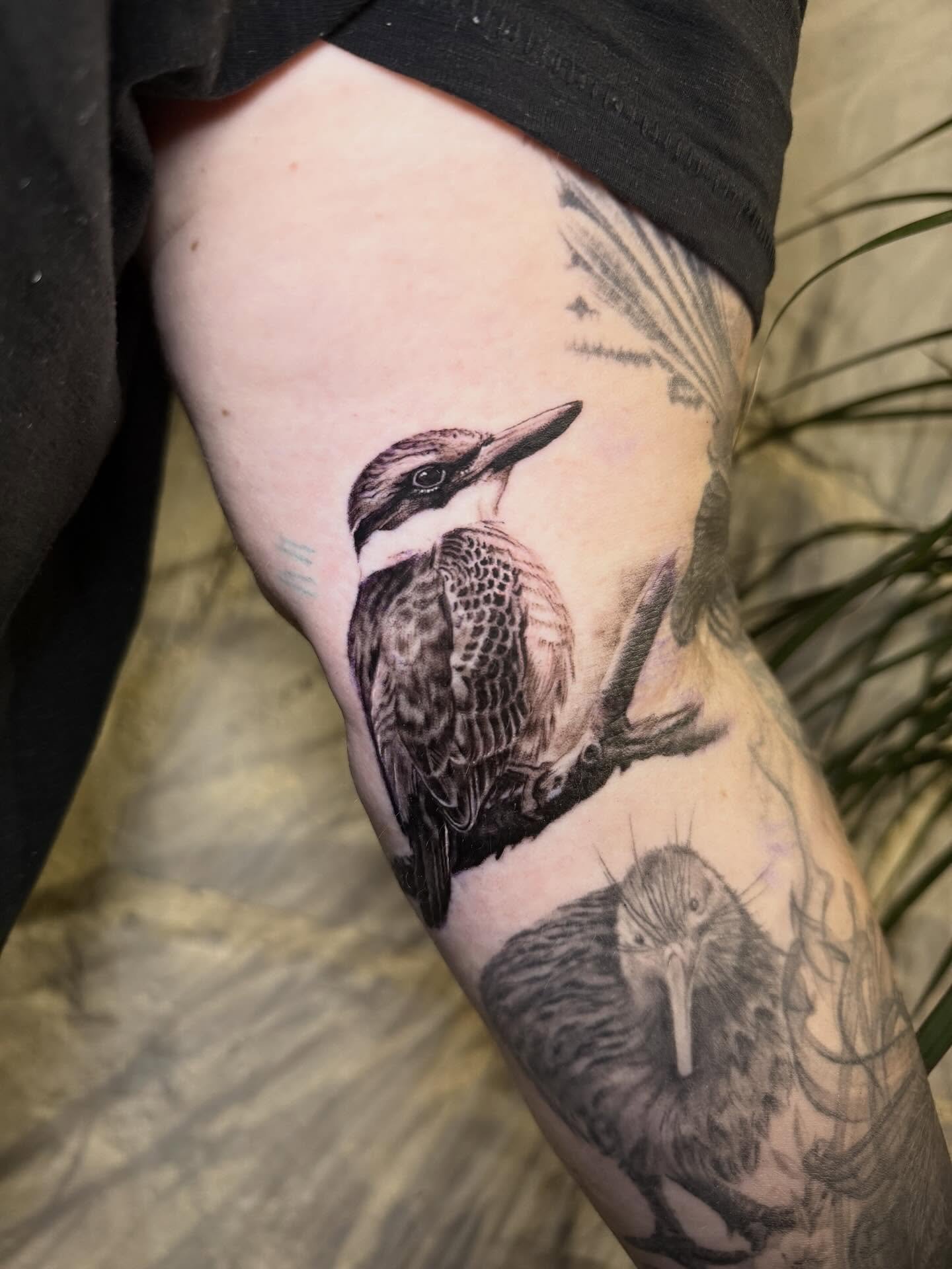 Kōtare/ Kingfisher for one of my longest standing clients @dayna6595.
Gnarly spot and she handled it like a pro as per usual.
Loved tattooing this piece, thanks Dayna I really appreciate you and your support over the years 💚

#blackandgreytattoo #ki