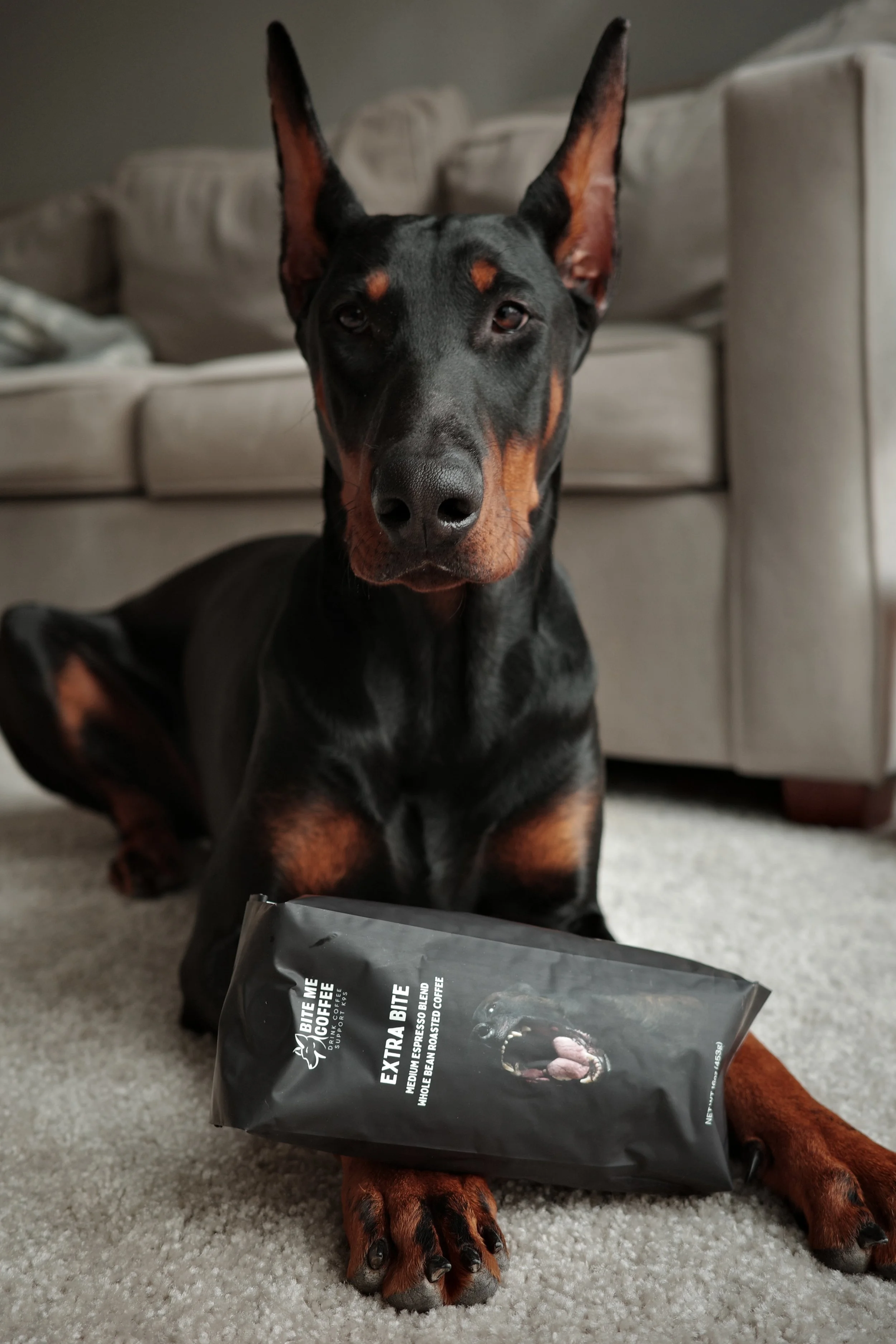 K9-Coffee-Fundraiser