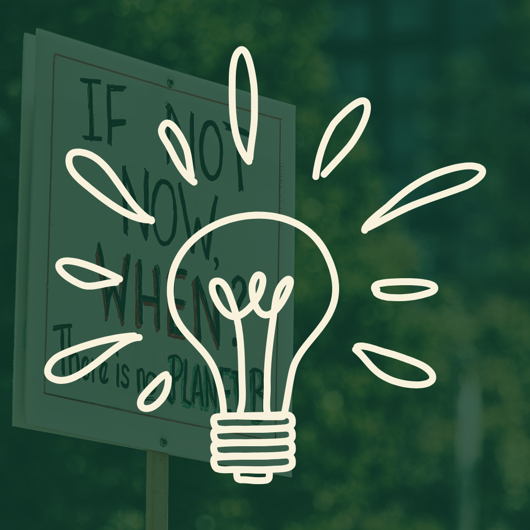 Voting Rights &amp; Fair Representation