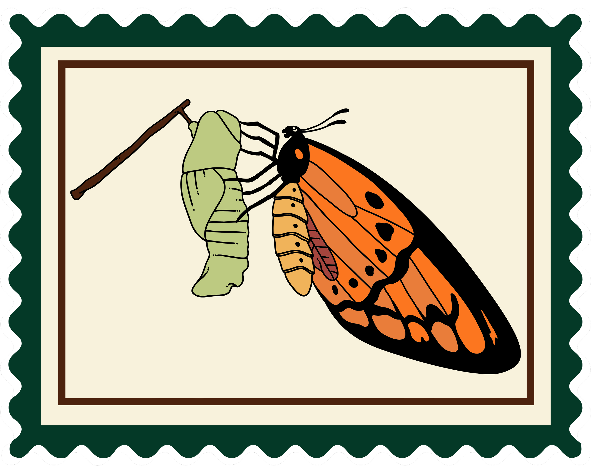 Illustration of a Monarch butterfly chrysalis with a caterpillar emerging and transforming into a butterfly.
