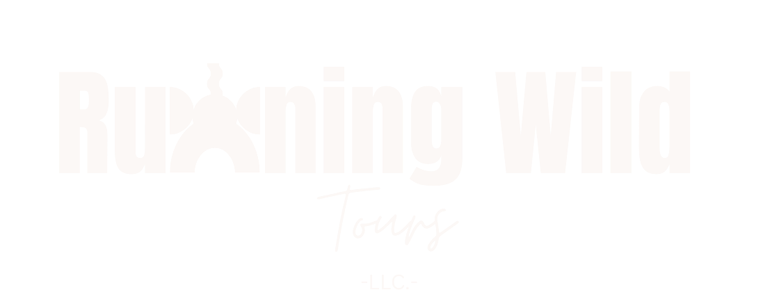 Your Site Title