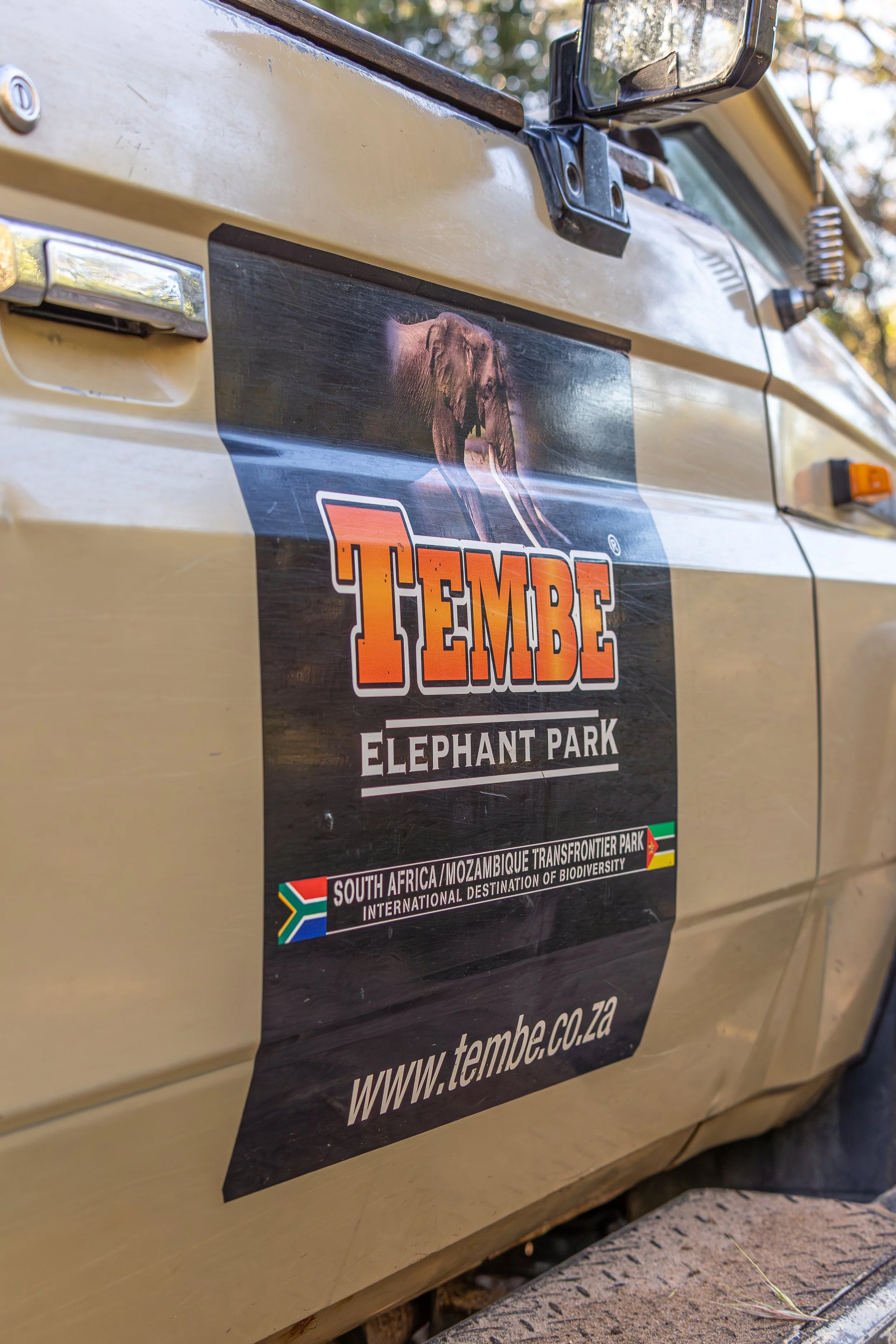 Safari Vehicle 2.jpeg