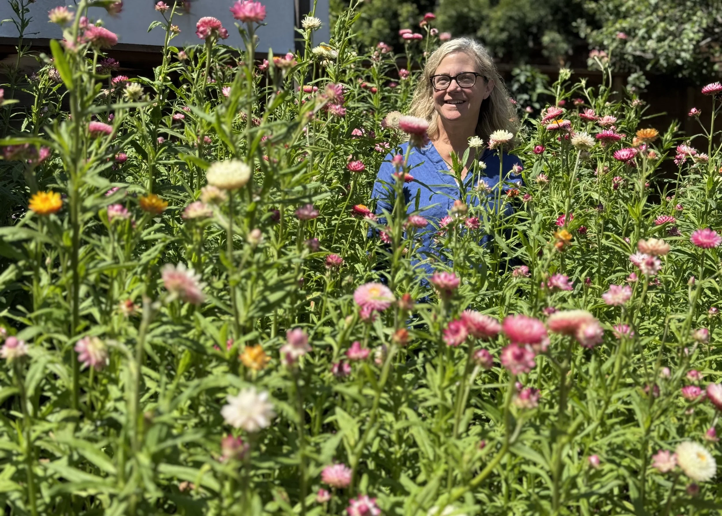 Behind the Scenes:             The Garden