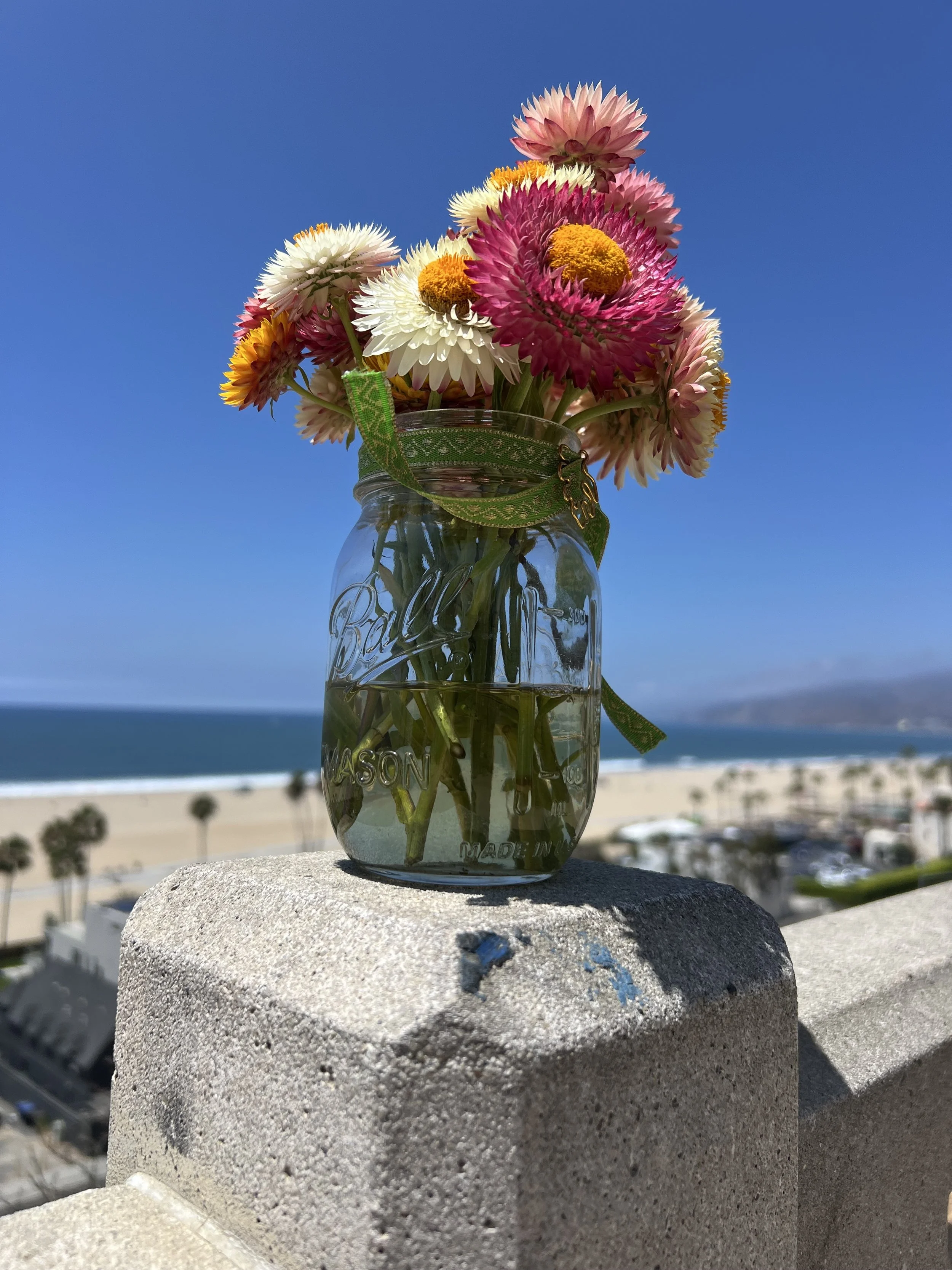 Behind the Scenes: Cut Flowers, Summer’s Bounty