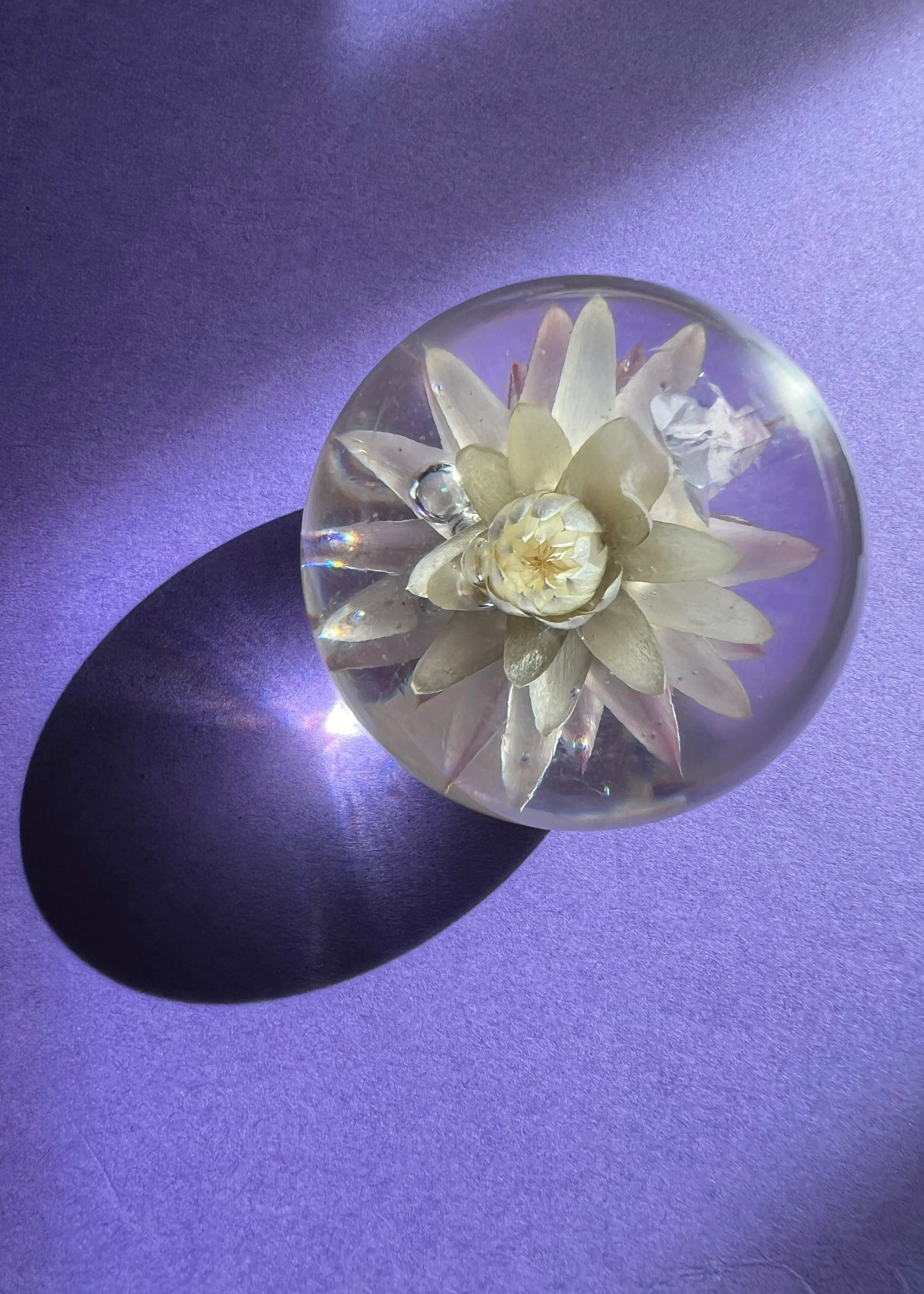 BloomSphere — Small — White— First Bloom 2025 — No. 62