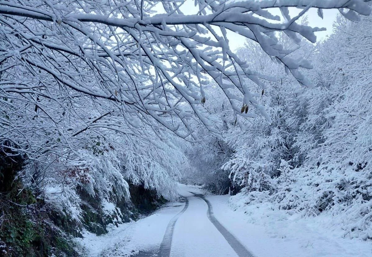 Centro de Salud en Muiños