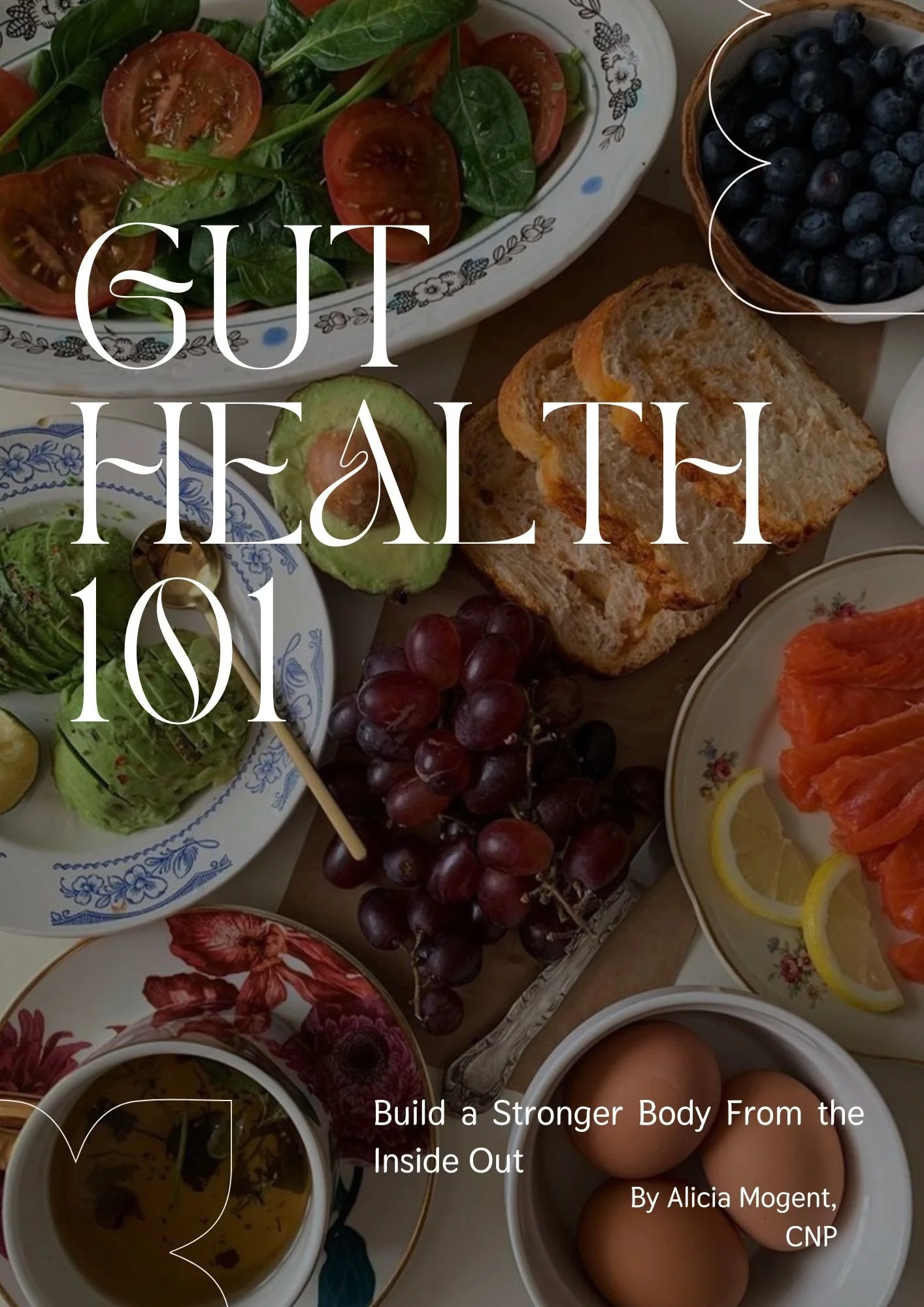 Gut Health 101 E-Book