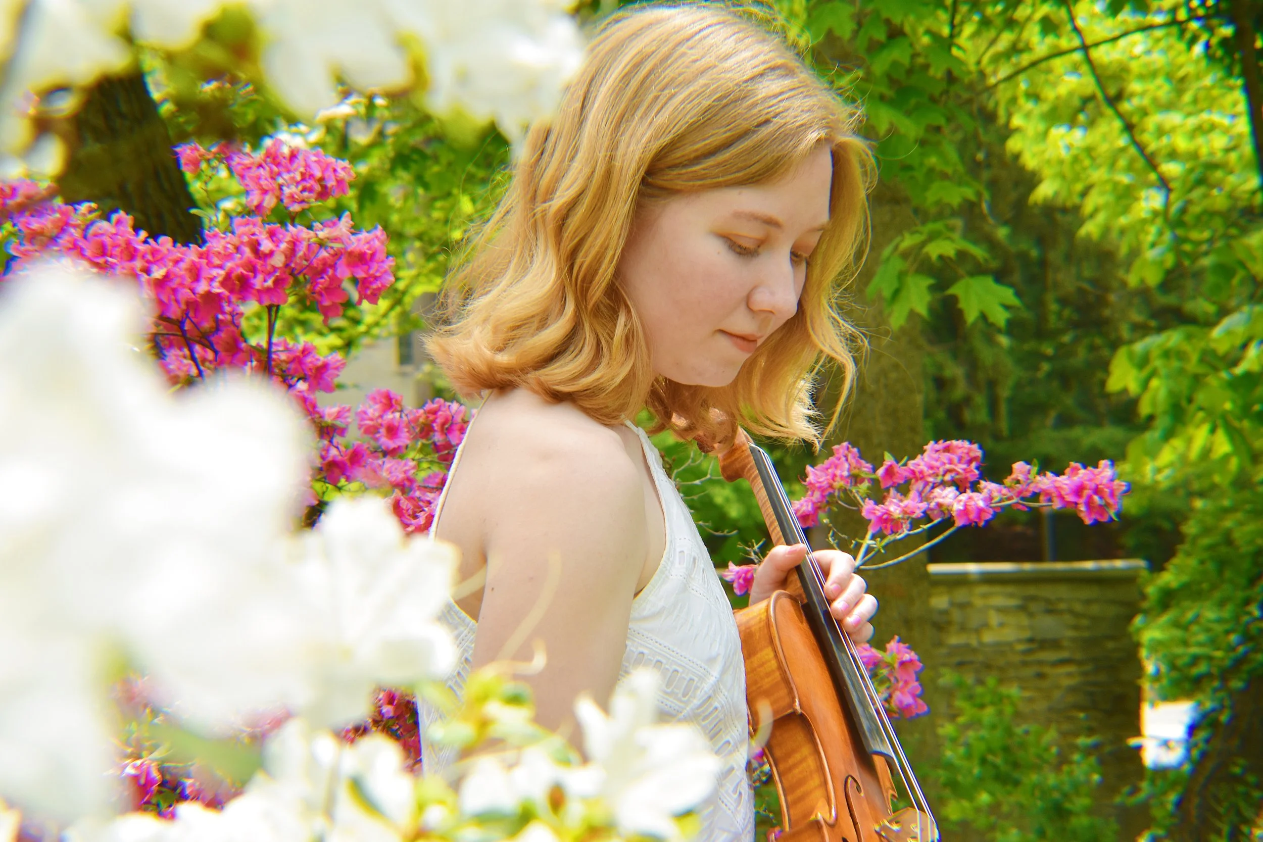 Master of Music Recital: Miranda Werner, Viola