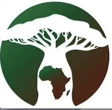 Tree with branches forming the shape of Africa inside a circular background