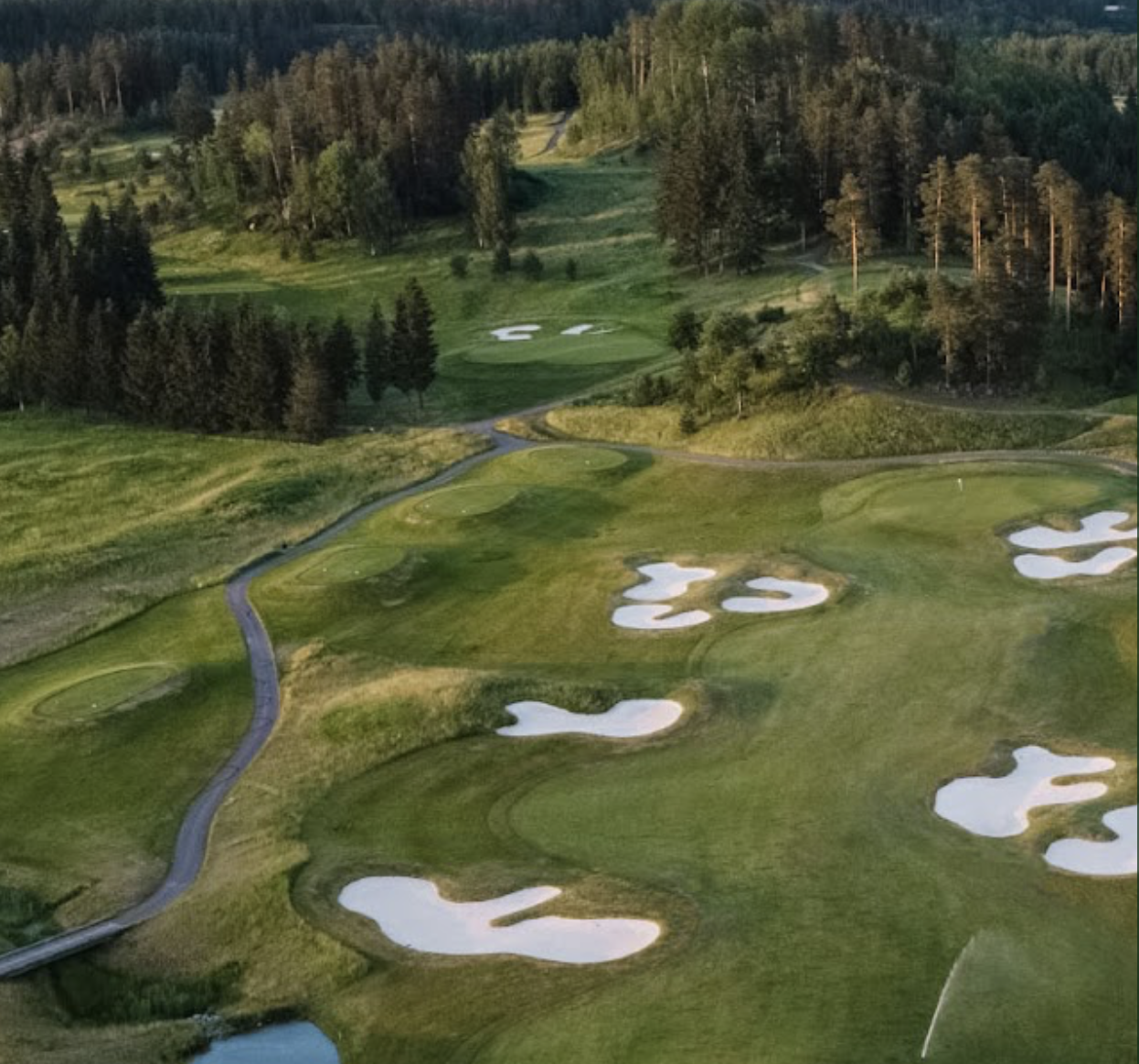 ESGA Super Seniors in Finland 2026